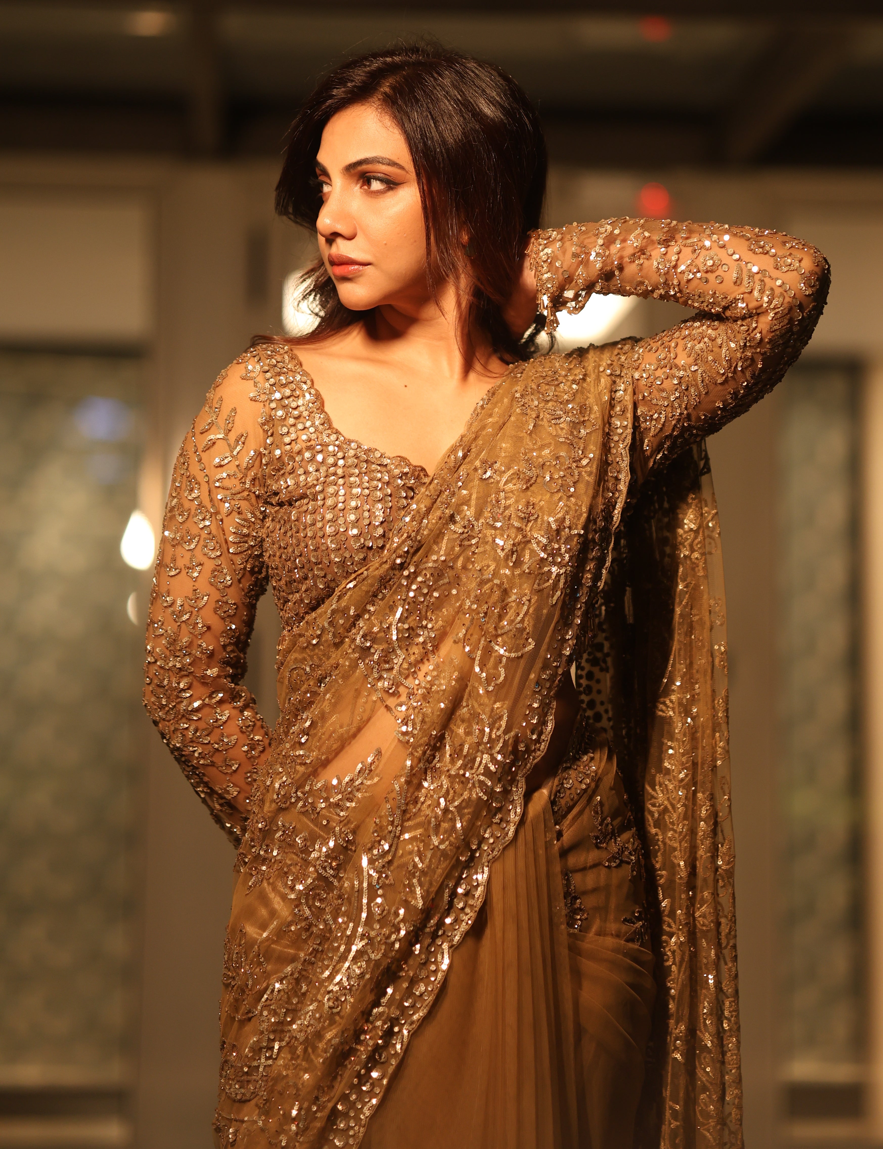 Champagne Gold Net Sequins Saree