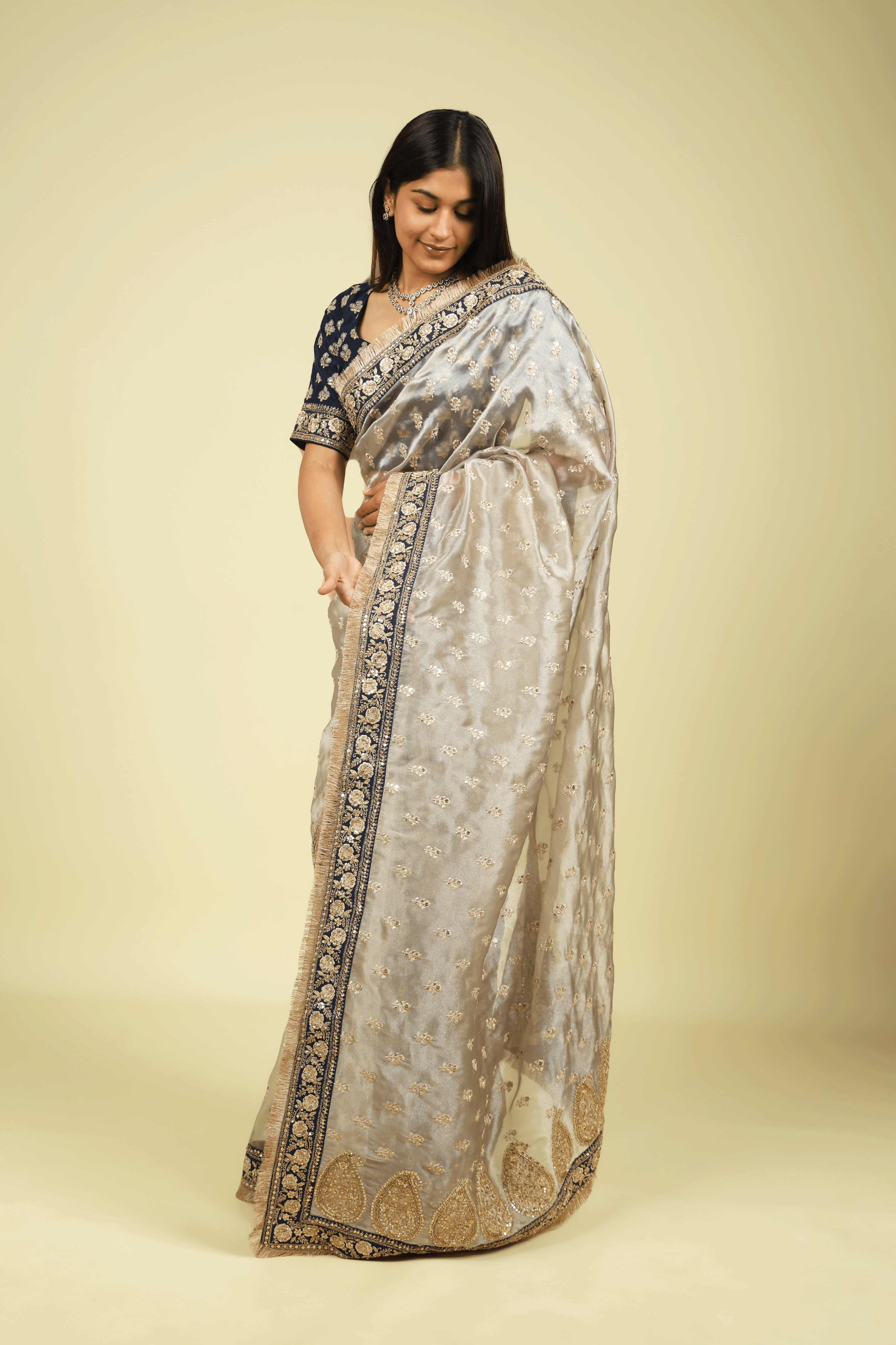 Silver Tissue Saree with Thread Motifs, Sequin Highlights & Contrast Embroidered Border - Mokshaa