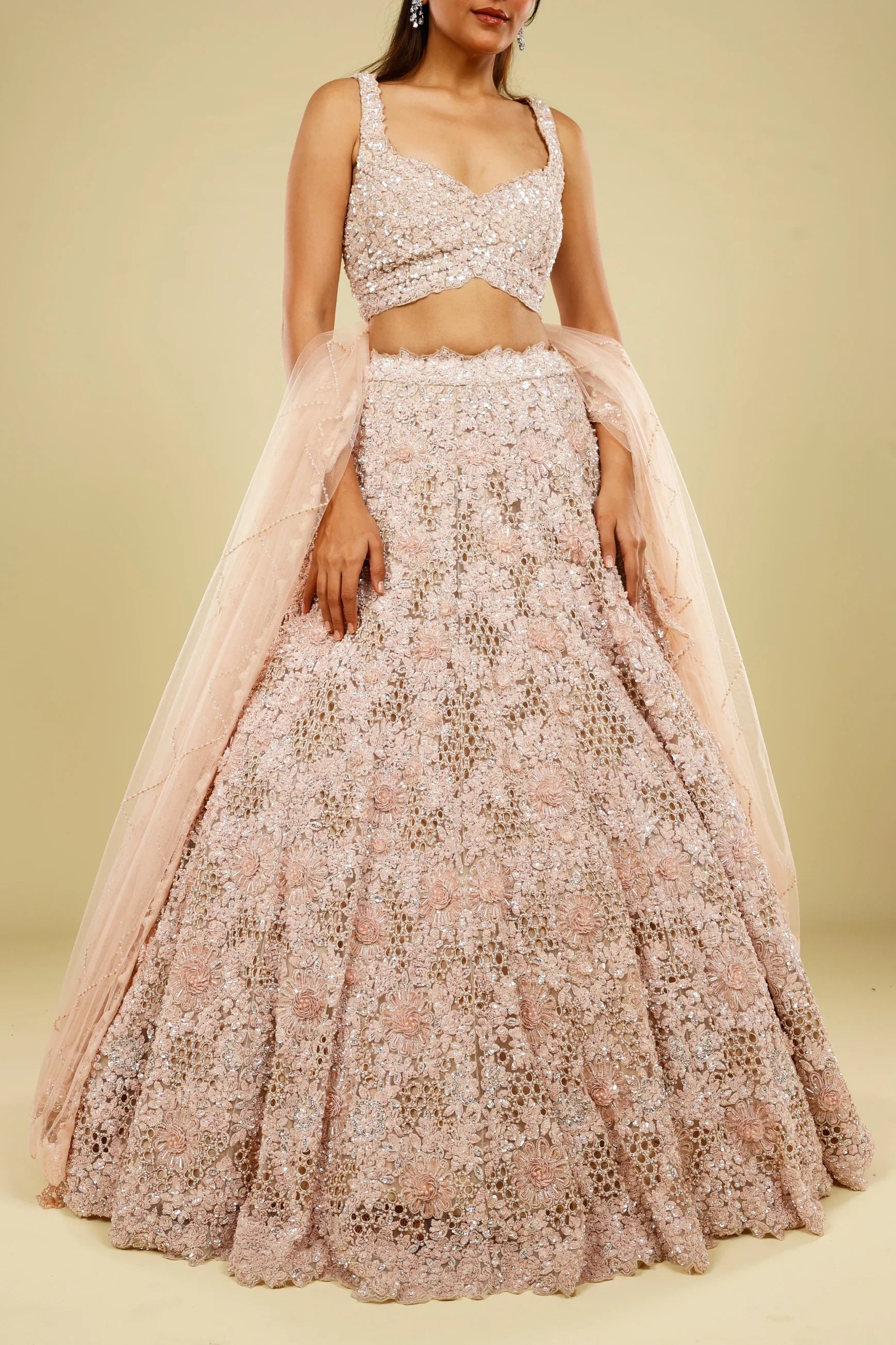 Blush Pink Net Cutwork Lehenga Set with Sequin, Stone & Pearl Embroidery - Mokshaa