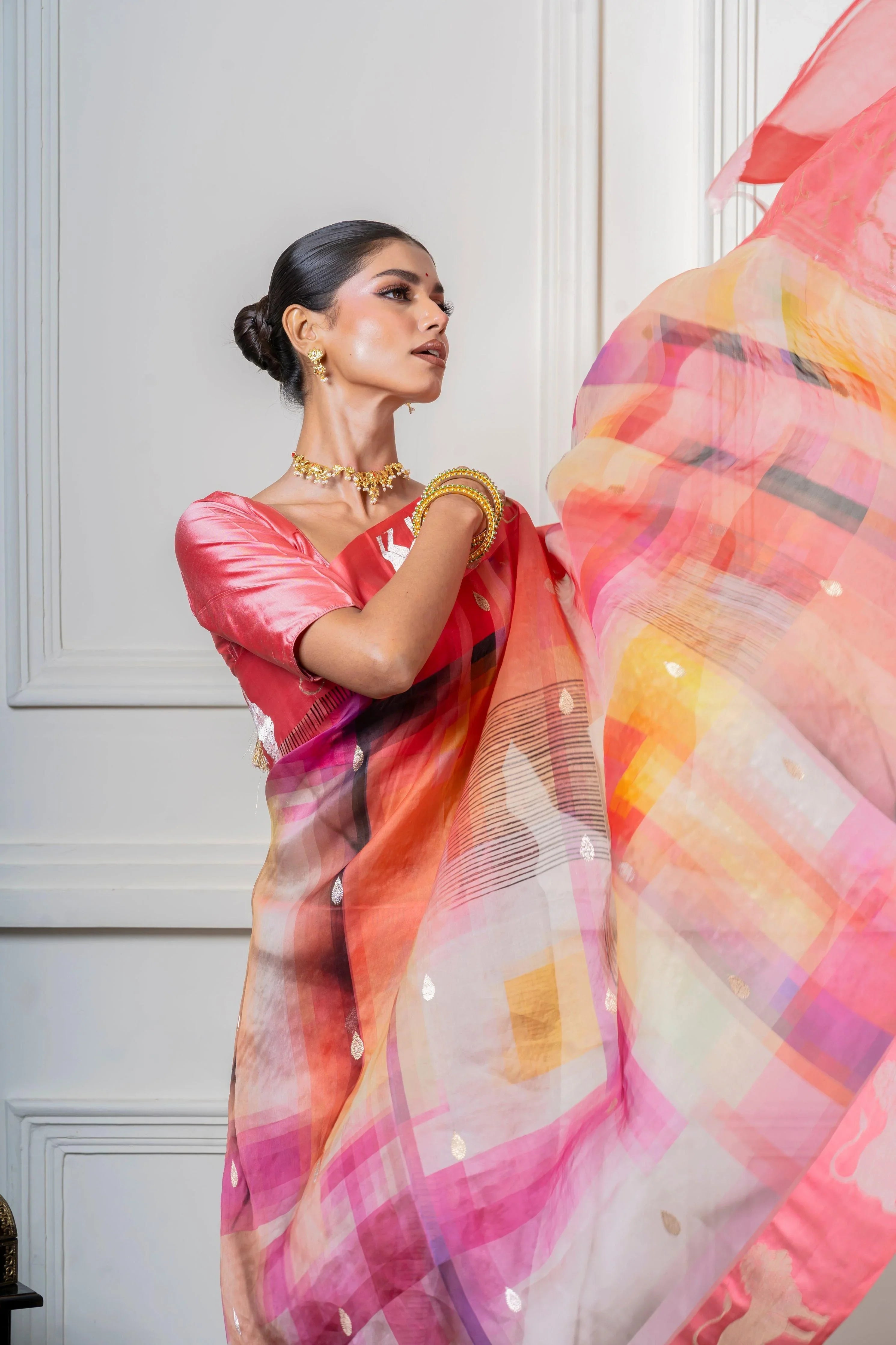 Multicolor Organza Saree with Geometric Print and Animal Motif - Mokshaa