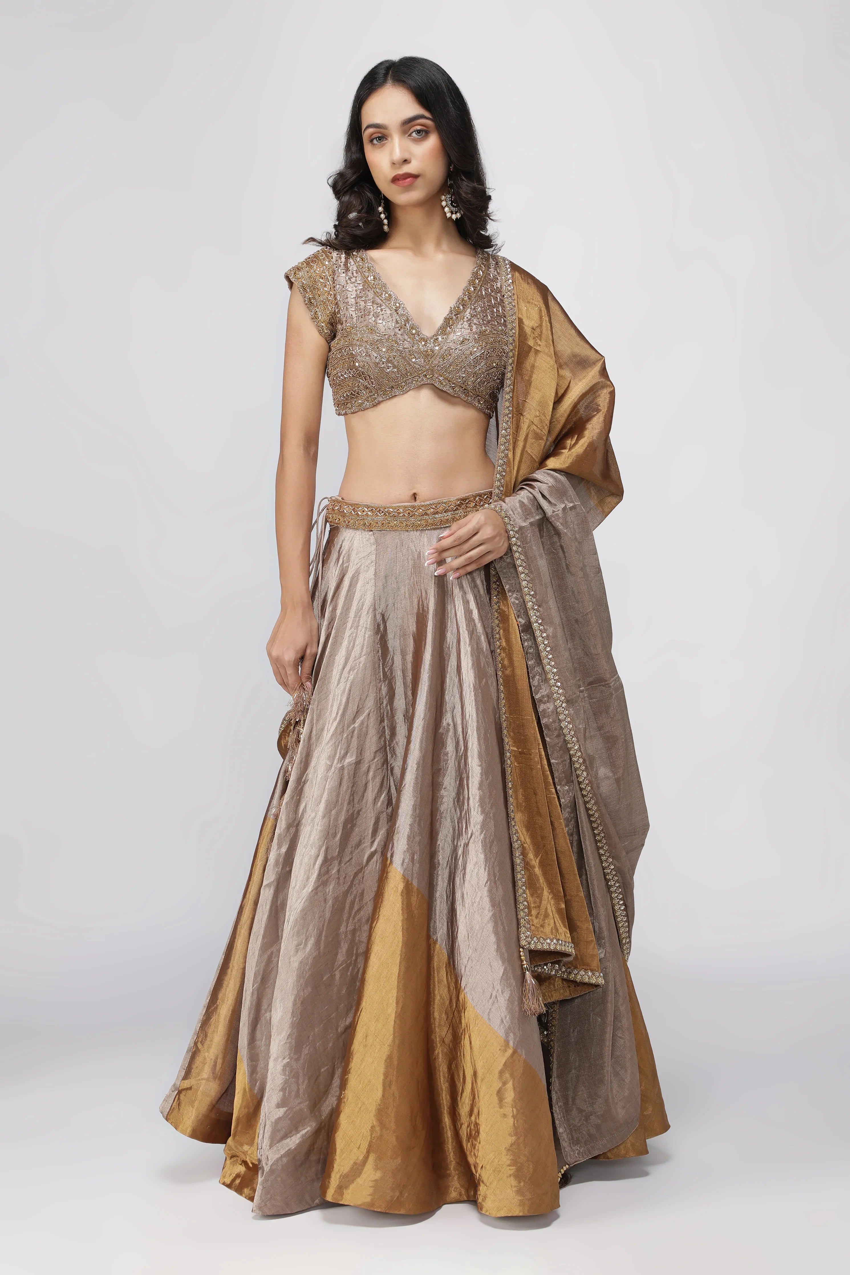 Gold & Silver Tissue Lehenga with Embroidered Blouse - Mokshaa