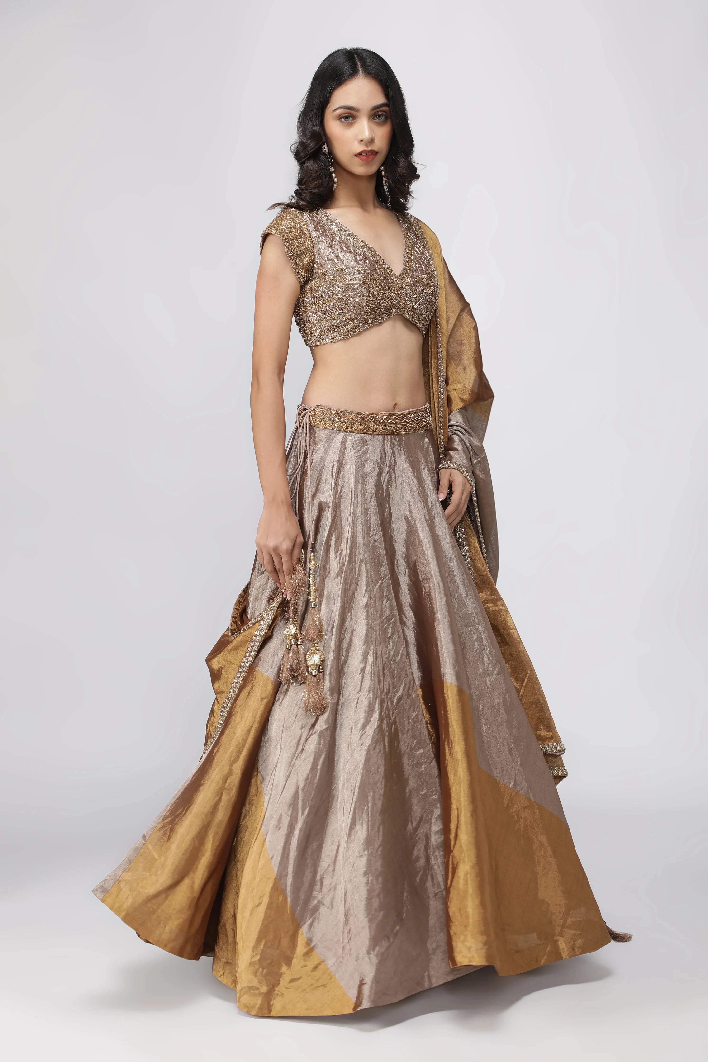 Gold & Silver Tissue Lehenga with Embroidered Blouse - Mokshaa