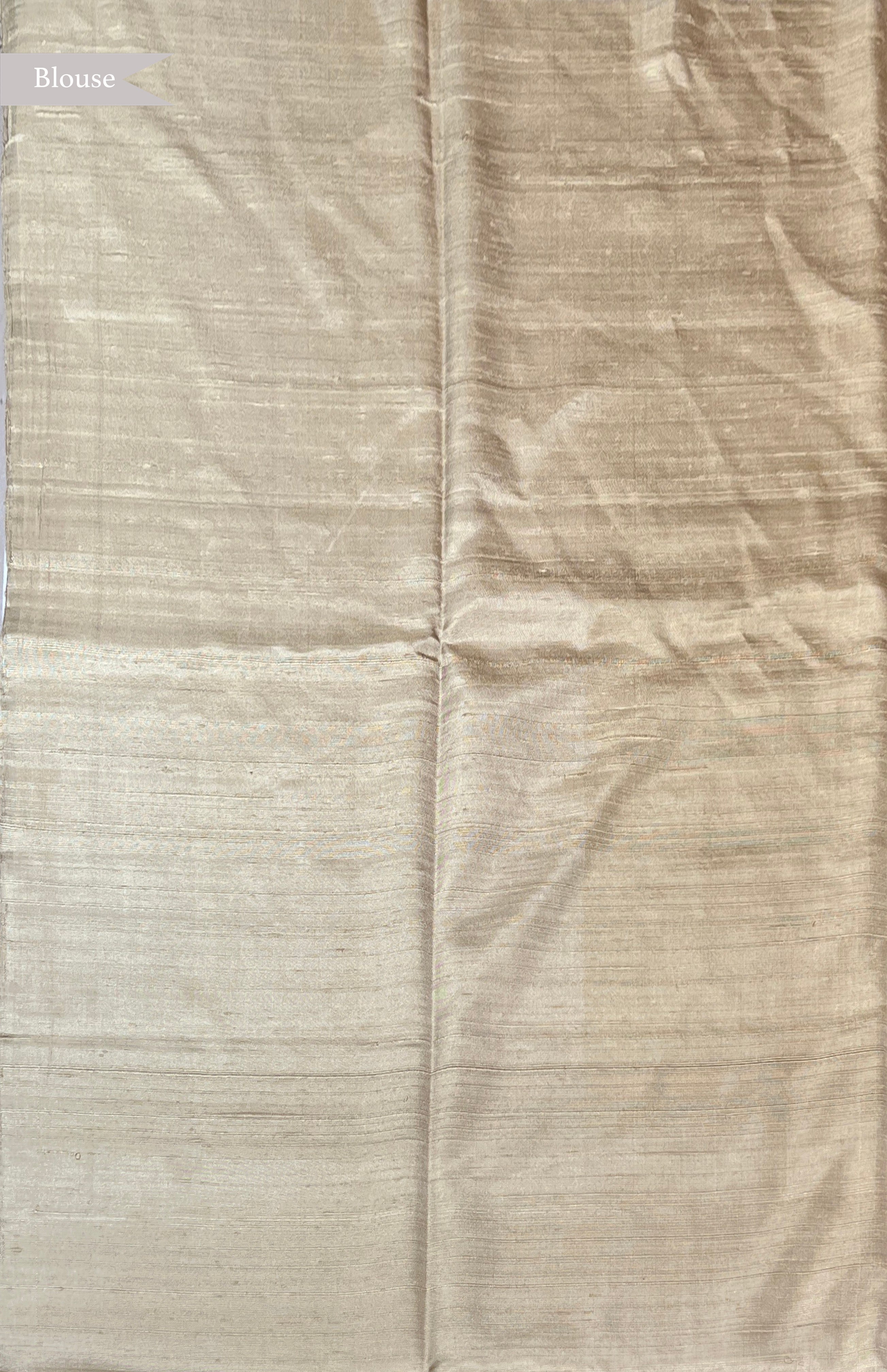 Multi Color Soft Silk Saree with Zari Woven Body