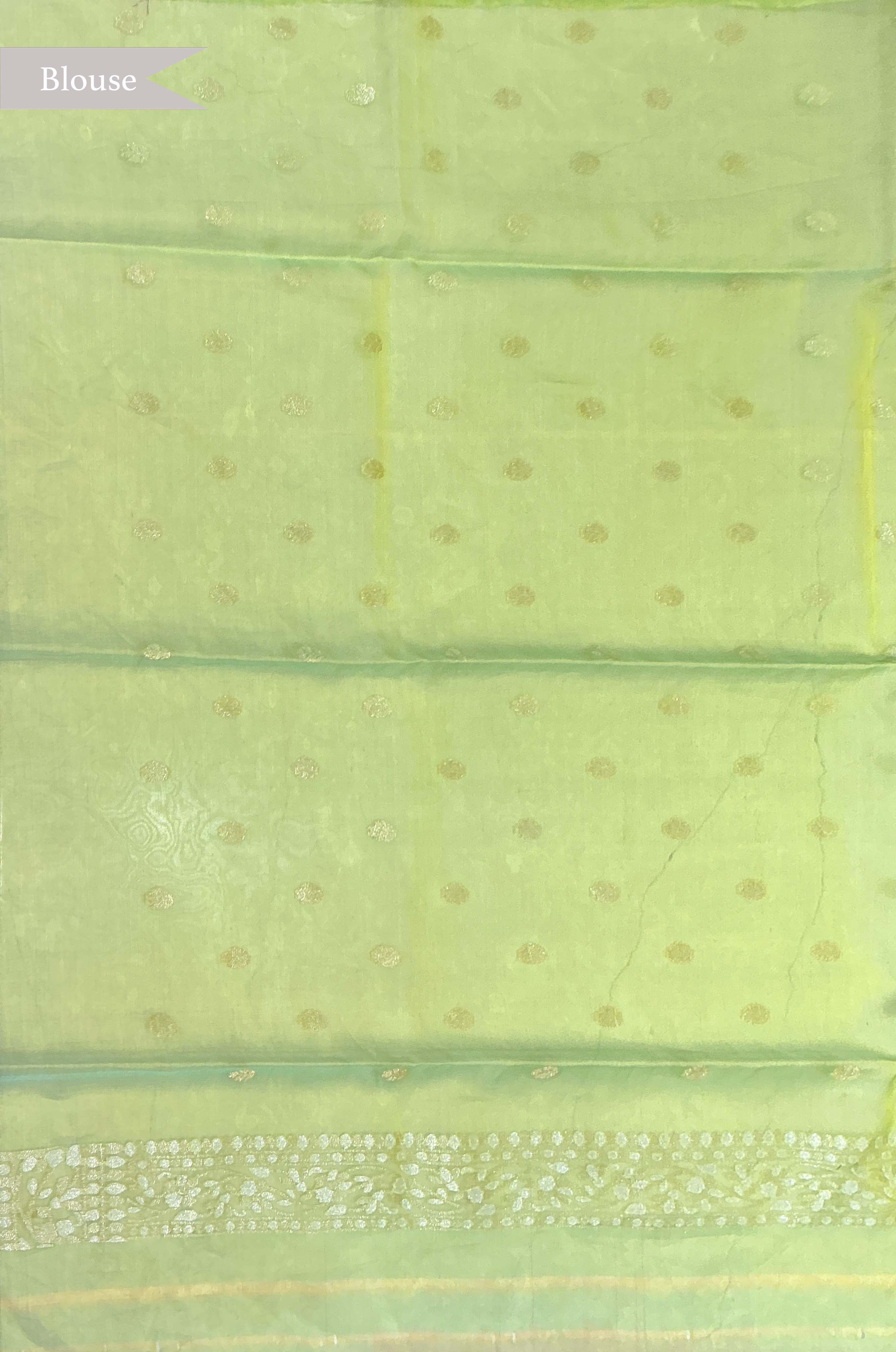 Pastel Green Kora Jamdhani Saree