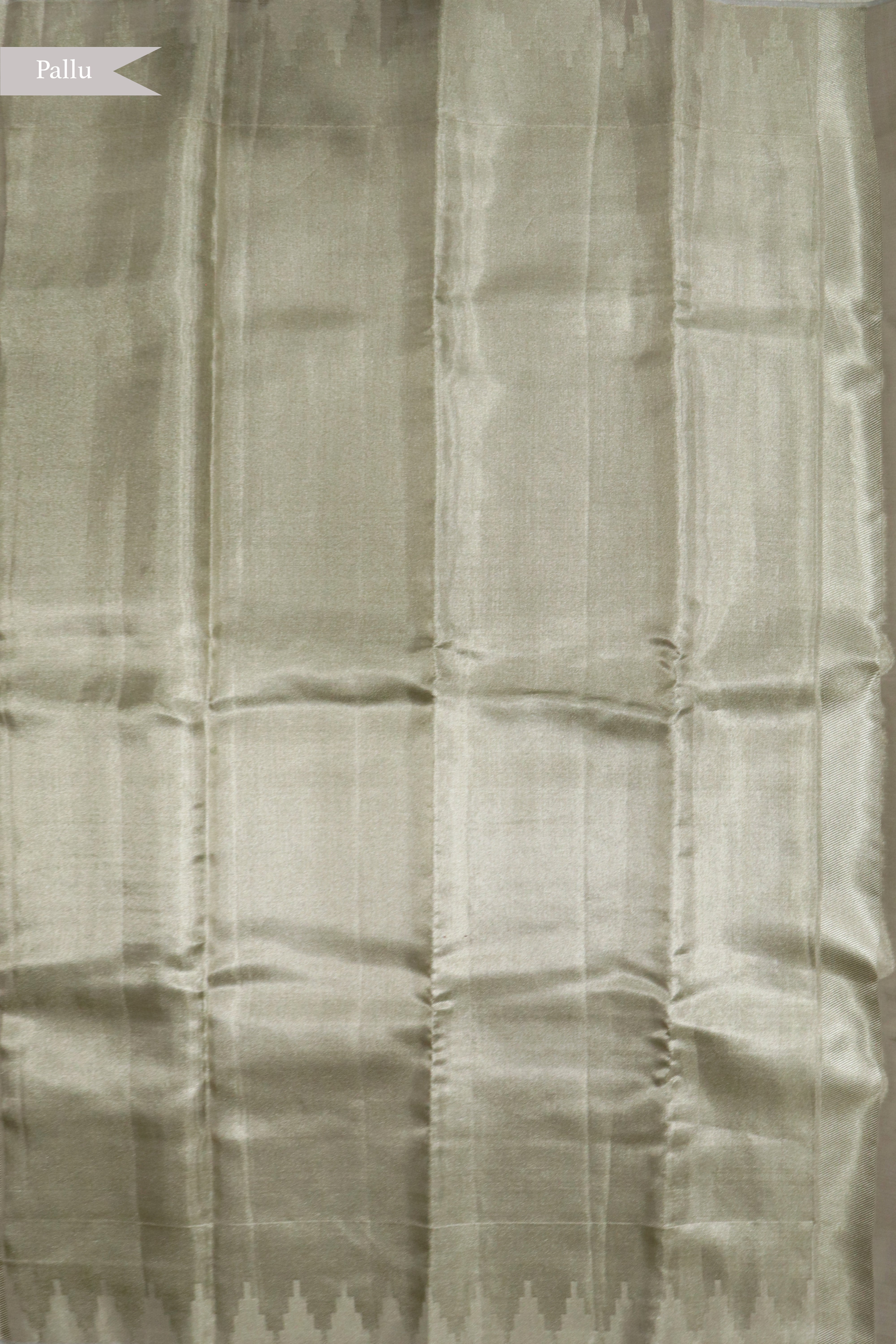 Silver Kanchivaram Tissue Silk Saree