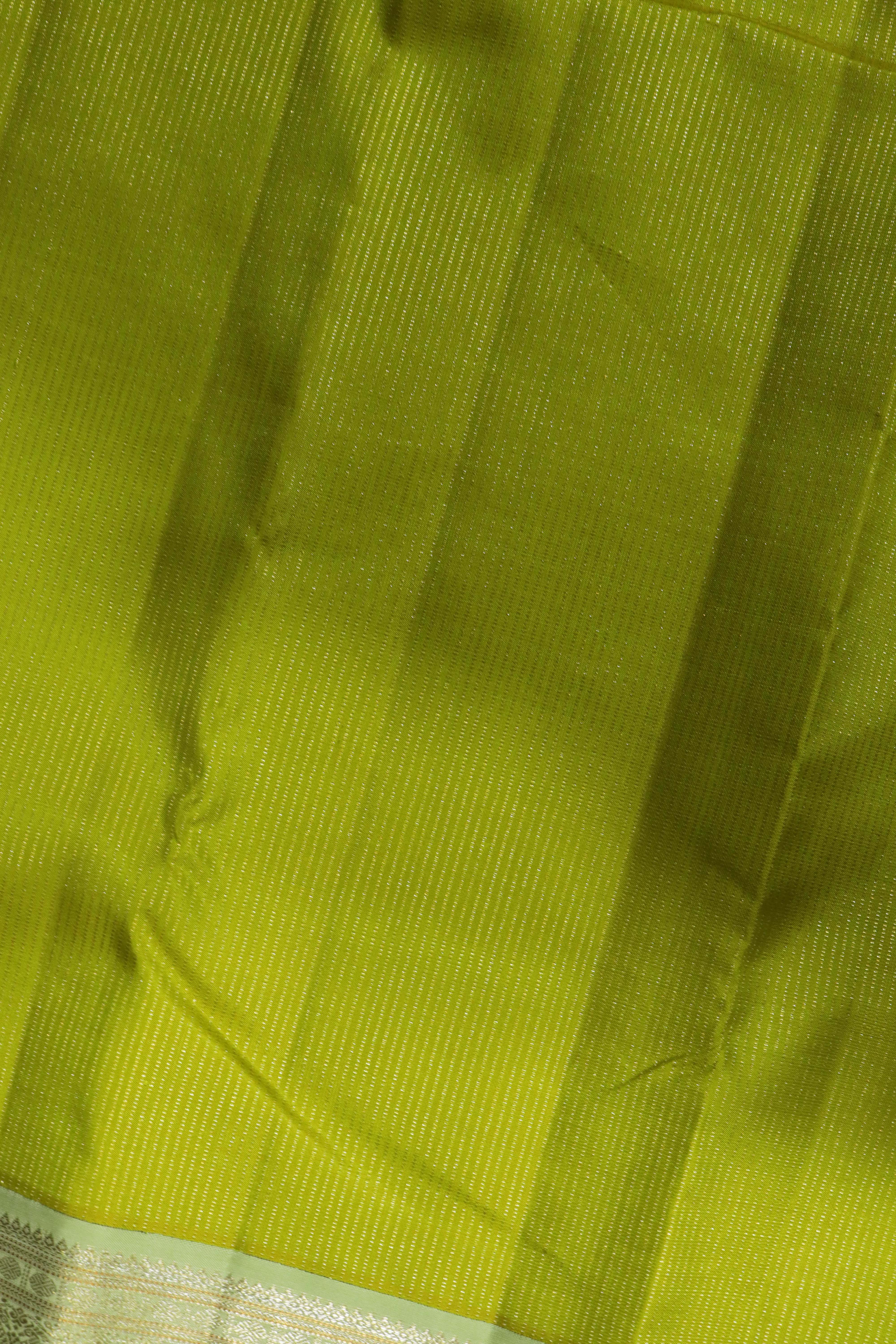 Pastel Green Kanchivaram Silk Saree