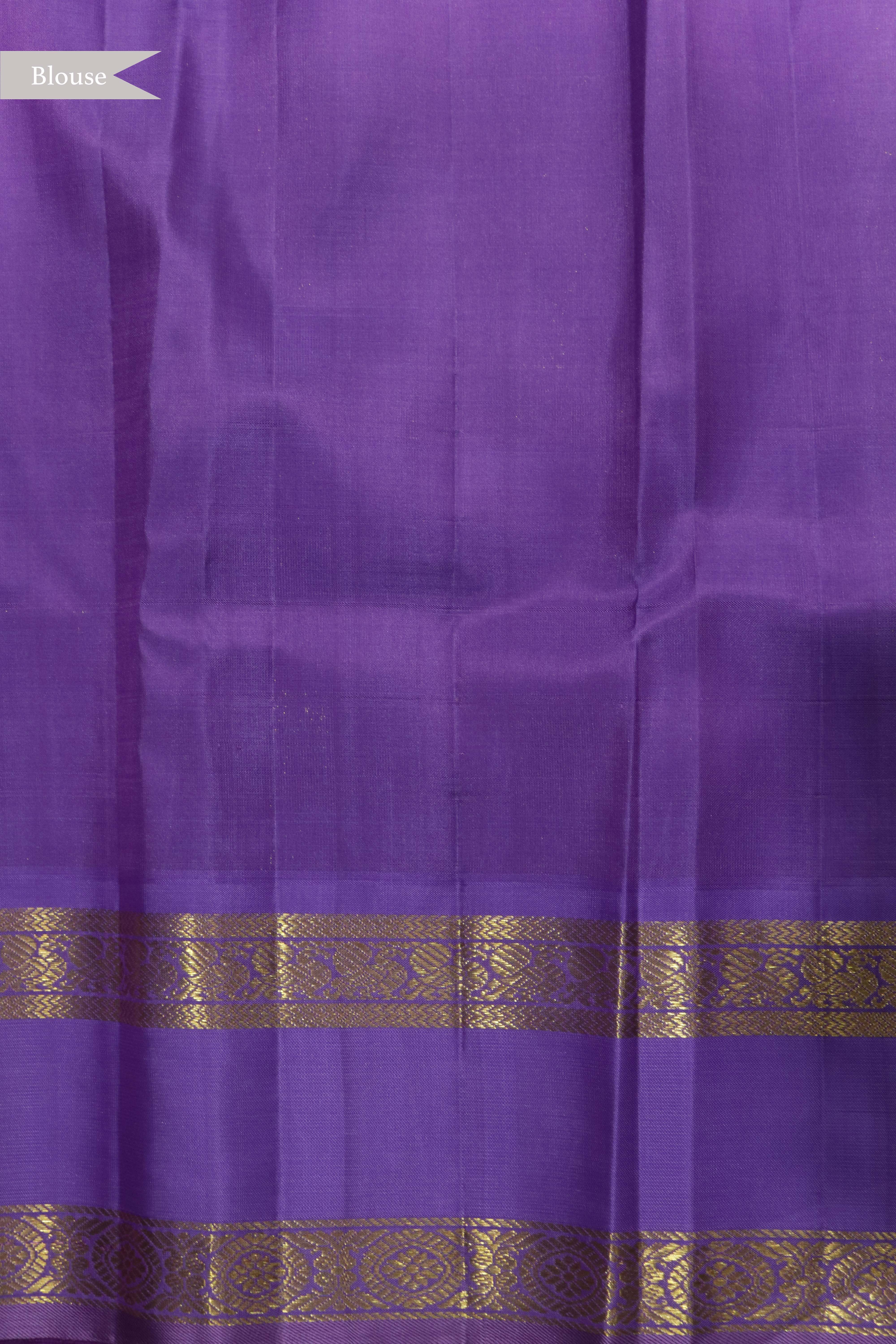 Pastel Green Kanchivaram Silk Saree