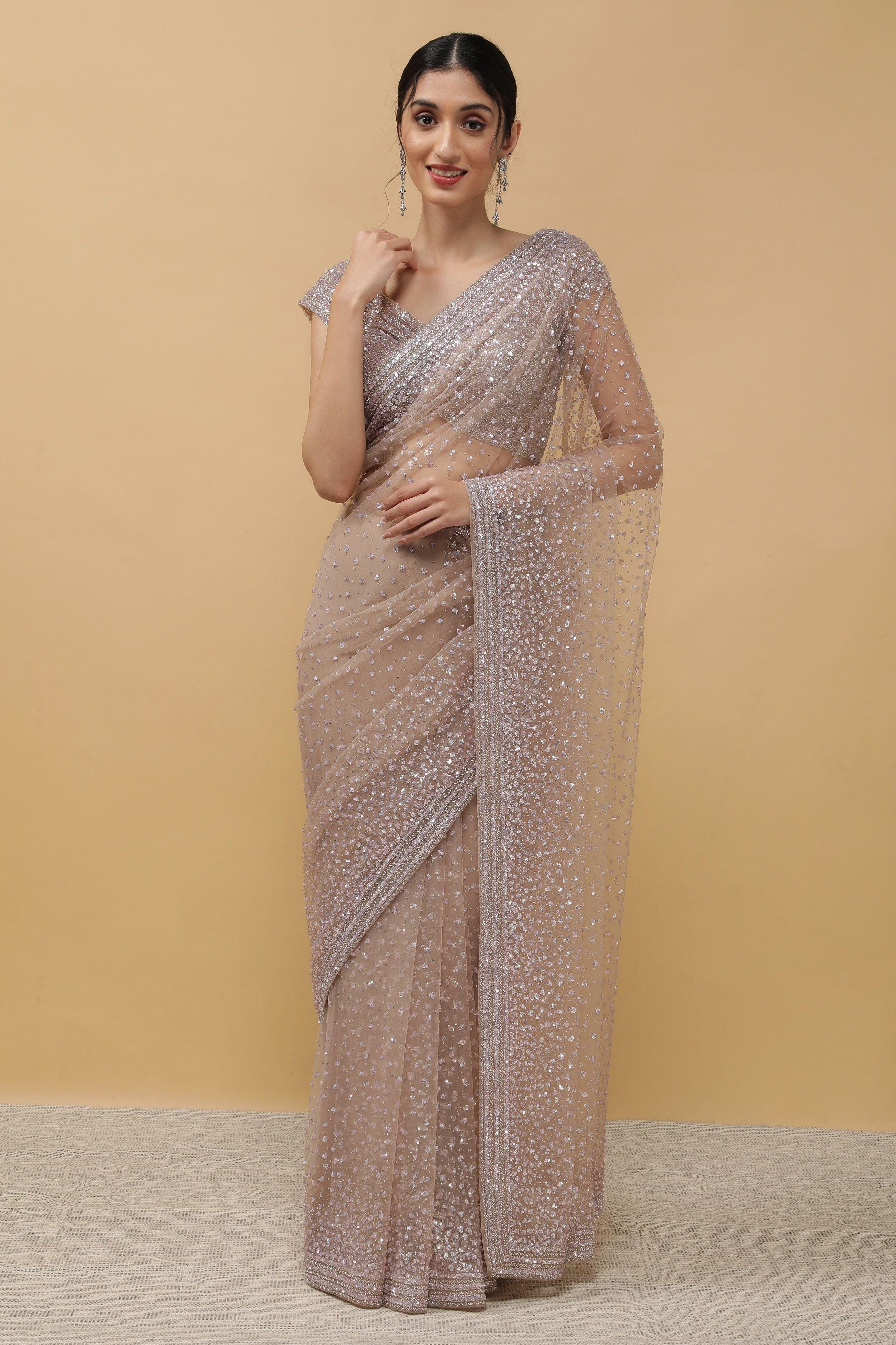 Chikoo Net Saree sequins work - Mokshaa