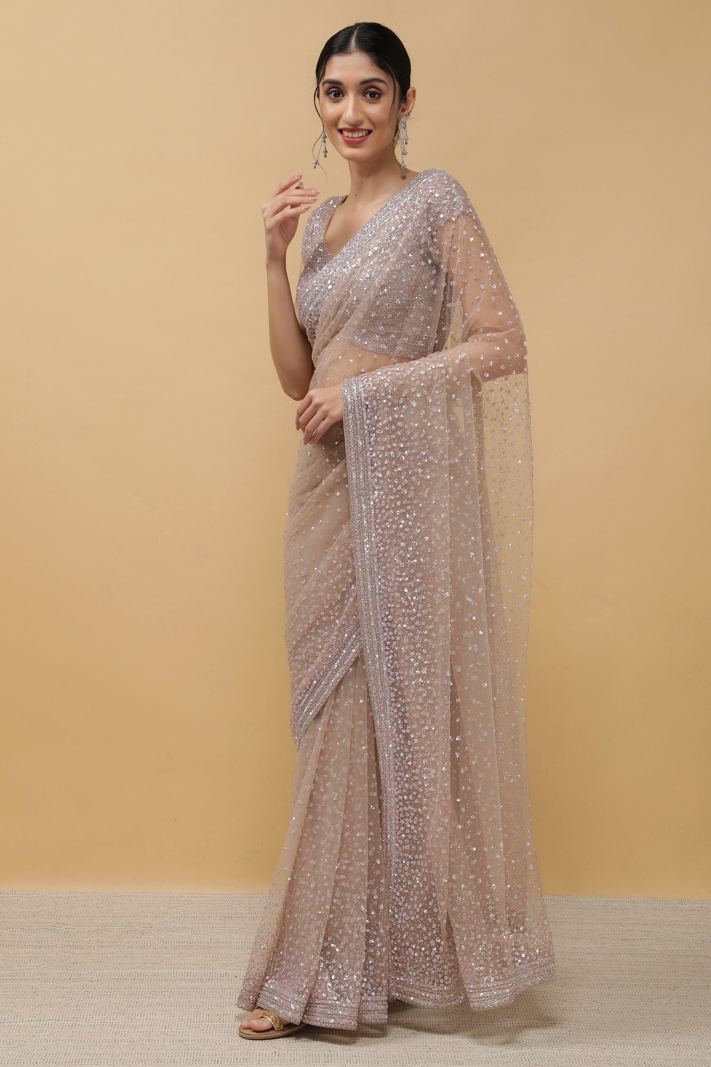 Chikoo Net Saree sequins work - Mokshaa