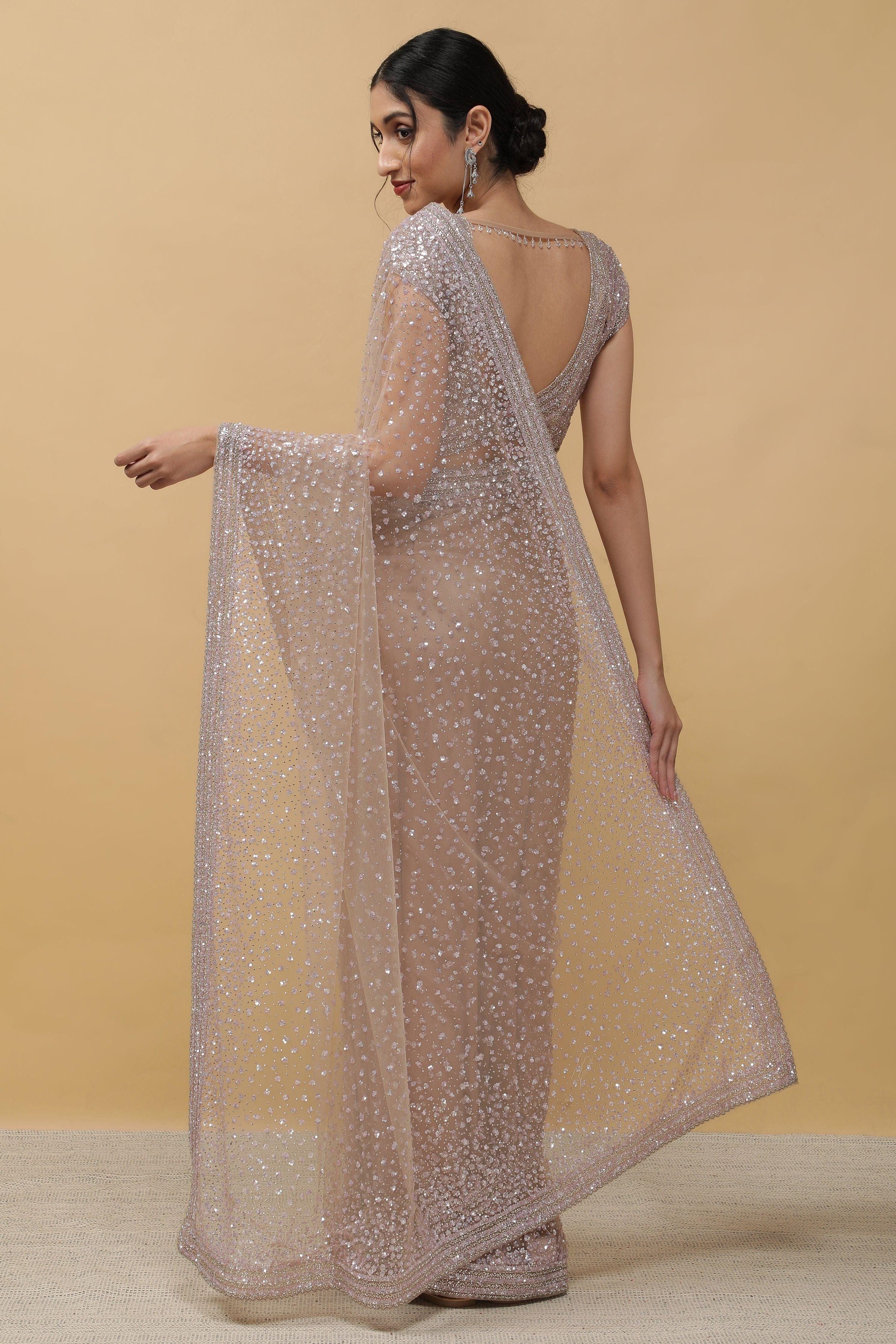 Chikoo Net Saree sequins work - Mokshaa