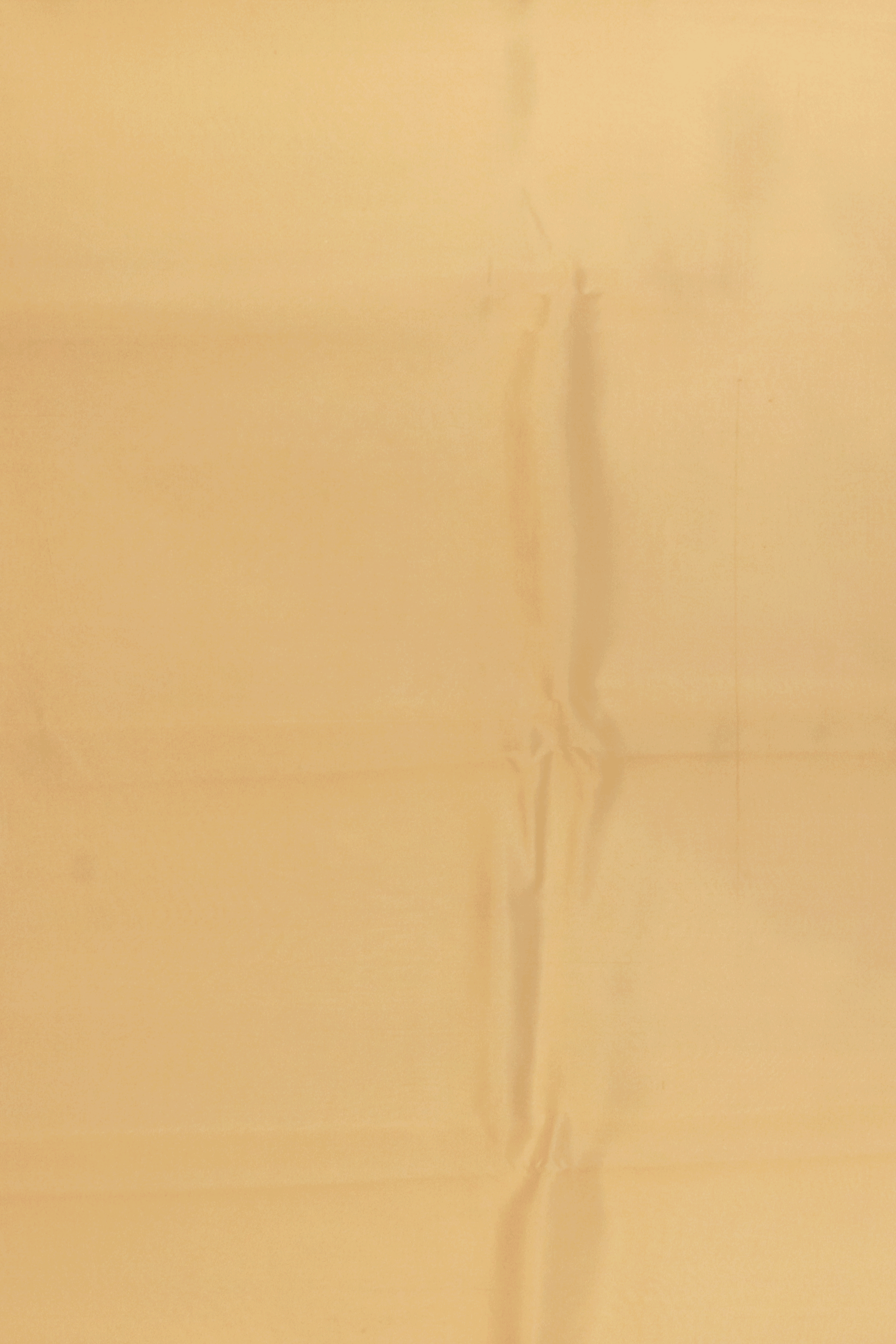 Off White Kanchipuram Silk Saree With Hand-Painted Floral Borders - Mokshaa