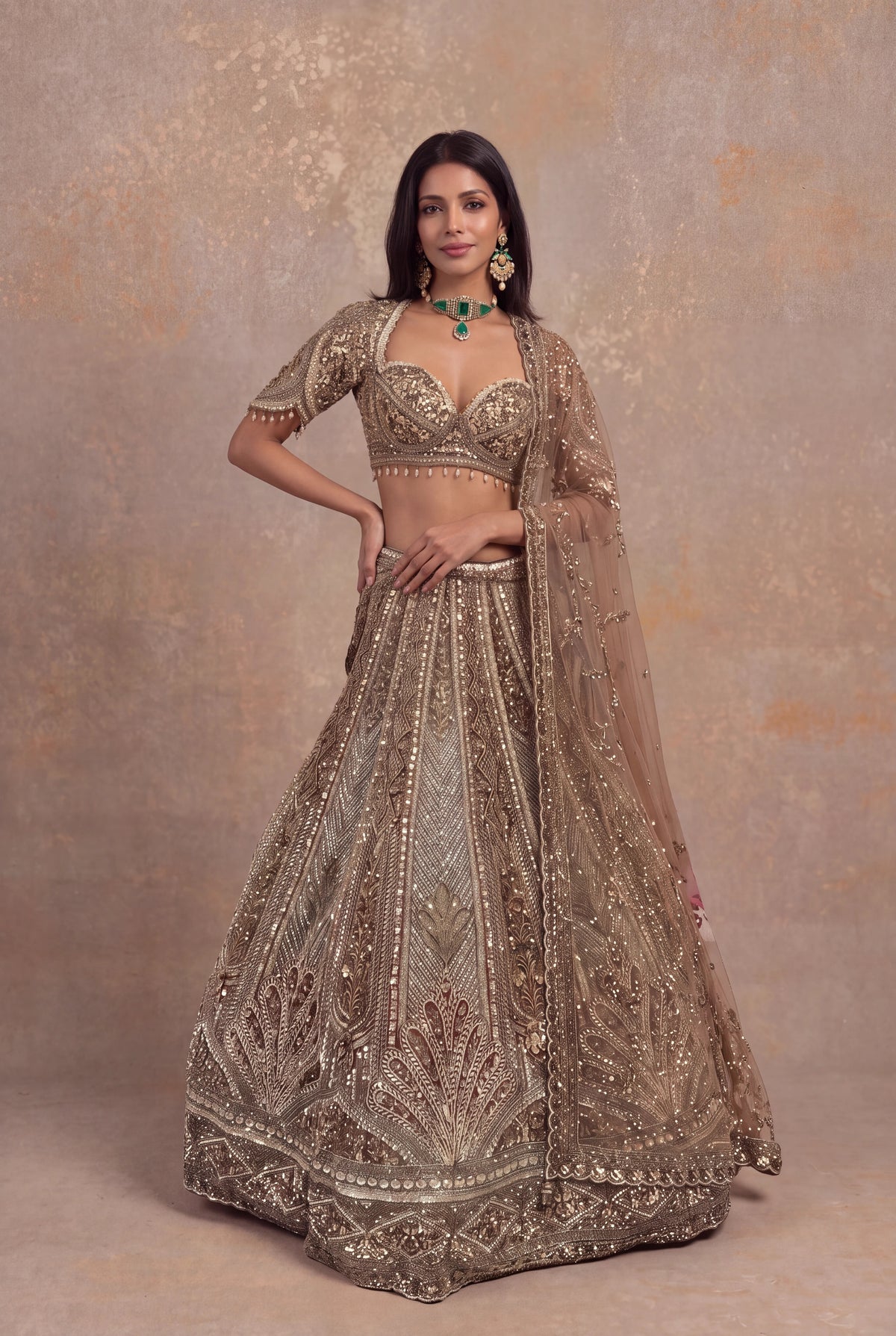 Honey Net Embellished Lehenga - Mokshaa