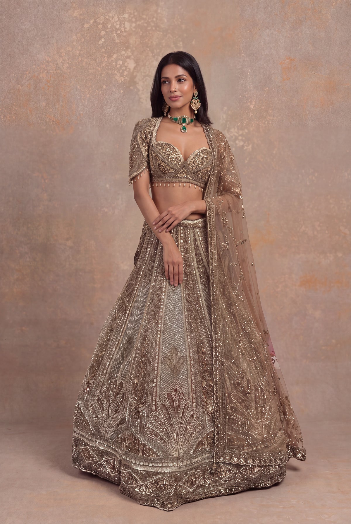 Honey Net Embellished Lehenga - Mokshaa