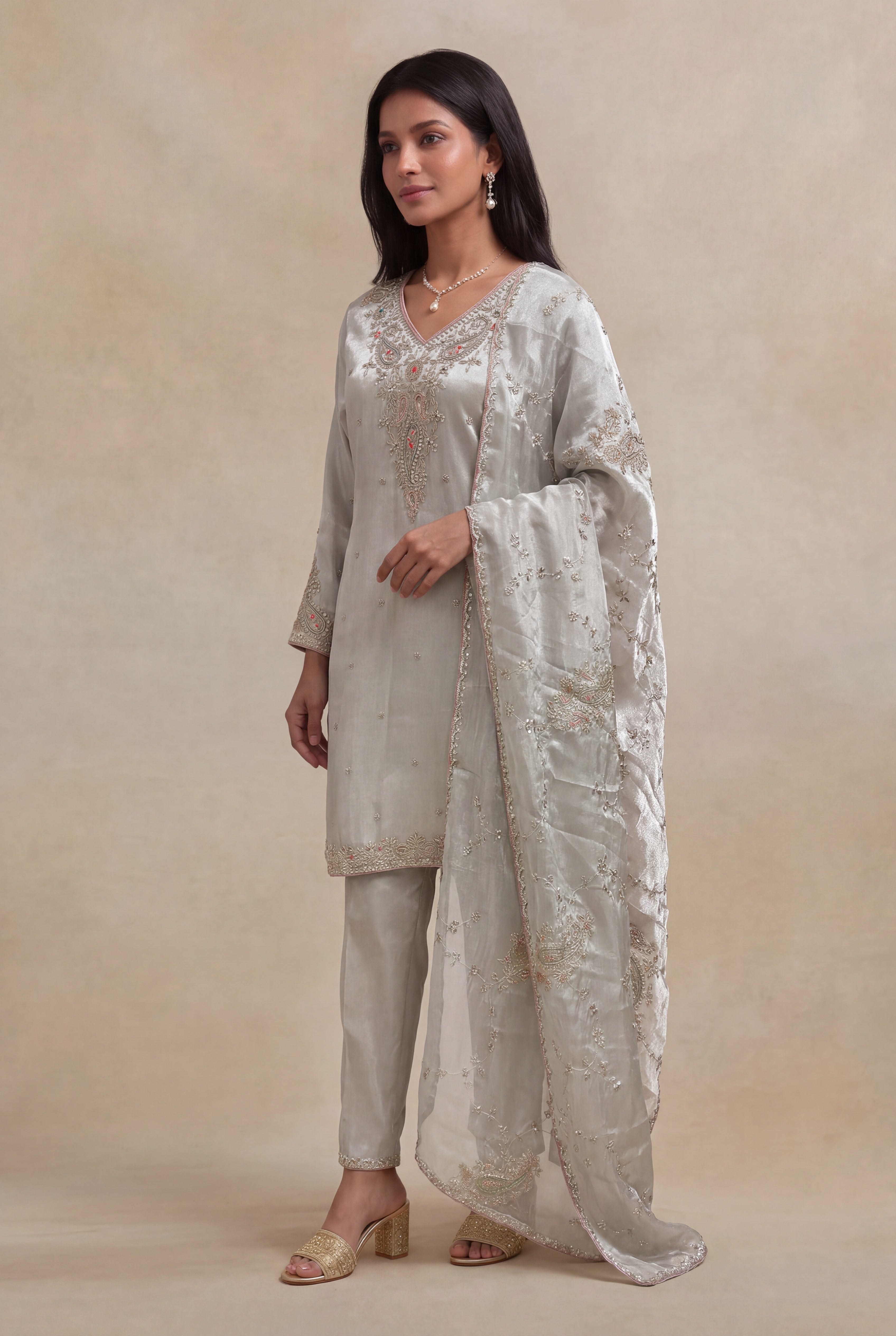 Silver Grey Tissue Straight Cut Salwar Set