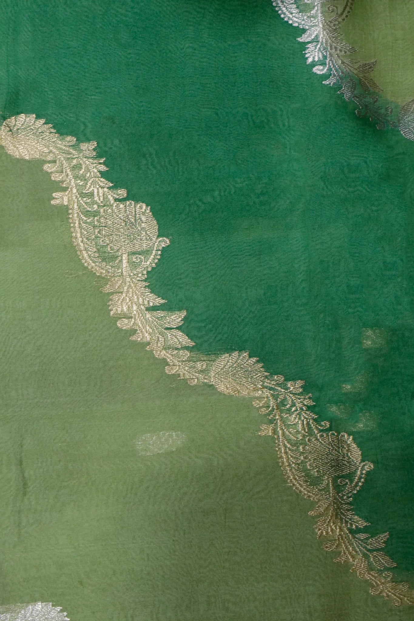 Multi-Green Banarasi Kora Saree with Zari Embroidered Motifs - Mokshaa