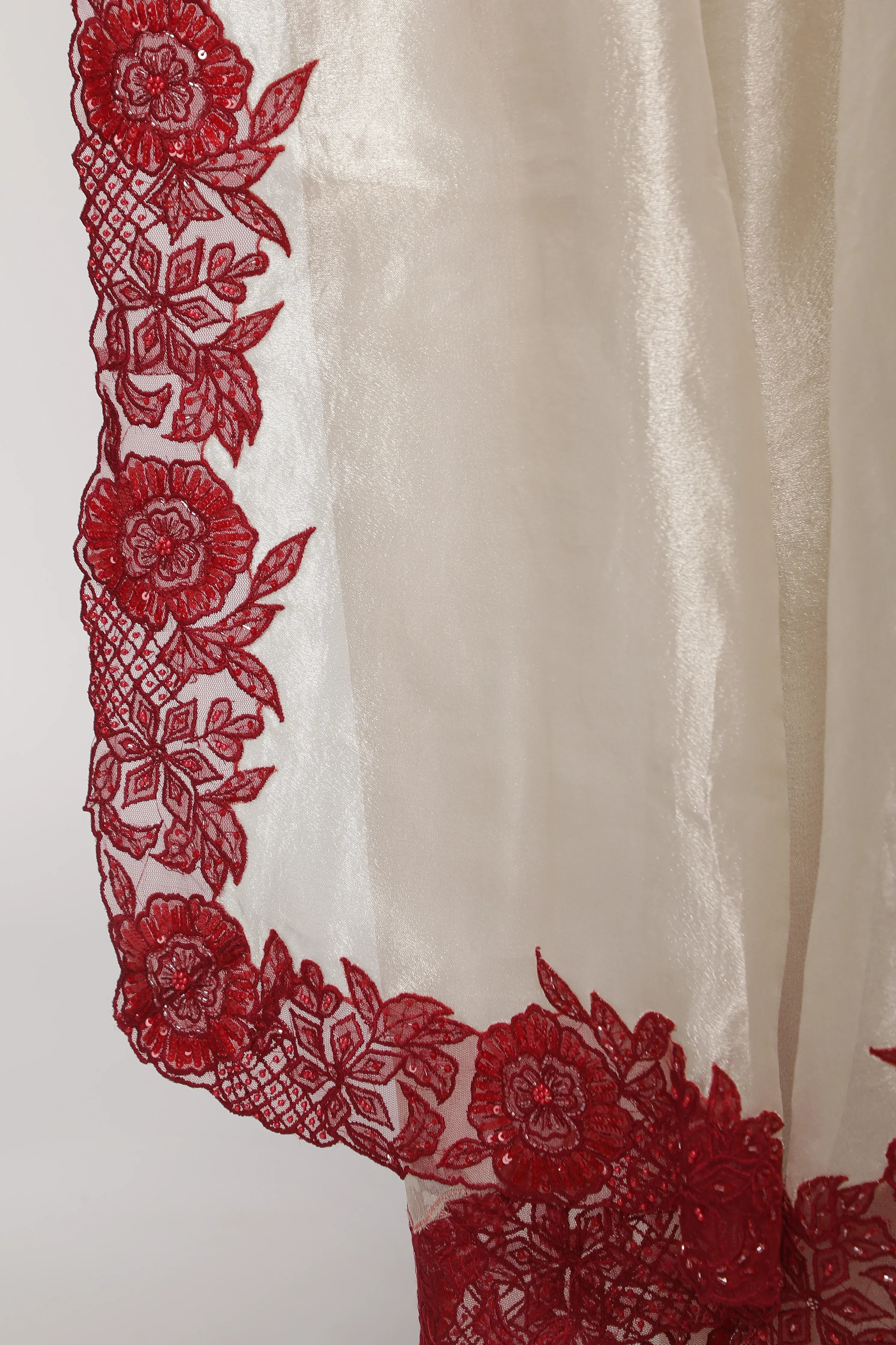 Silver Tissue Saree with Contrast Red Net Embroidery Border - Mokshaa