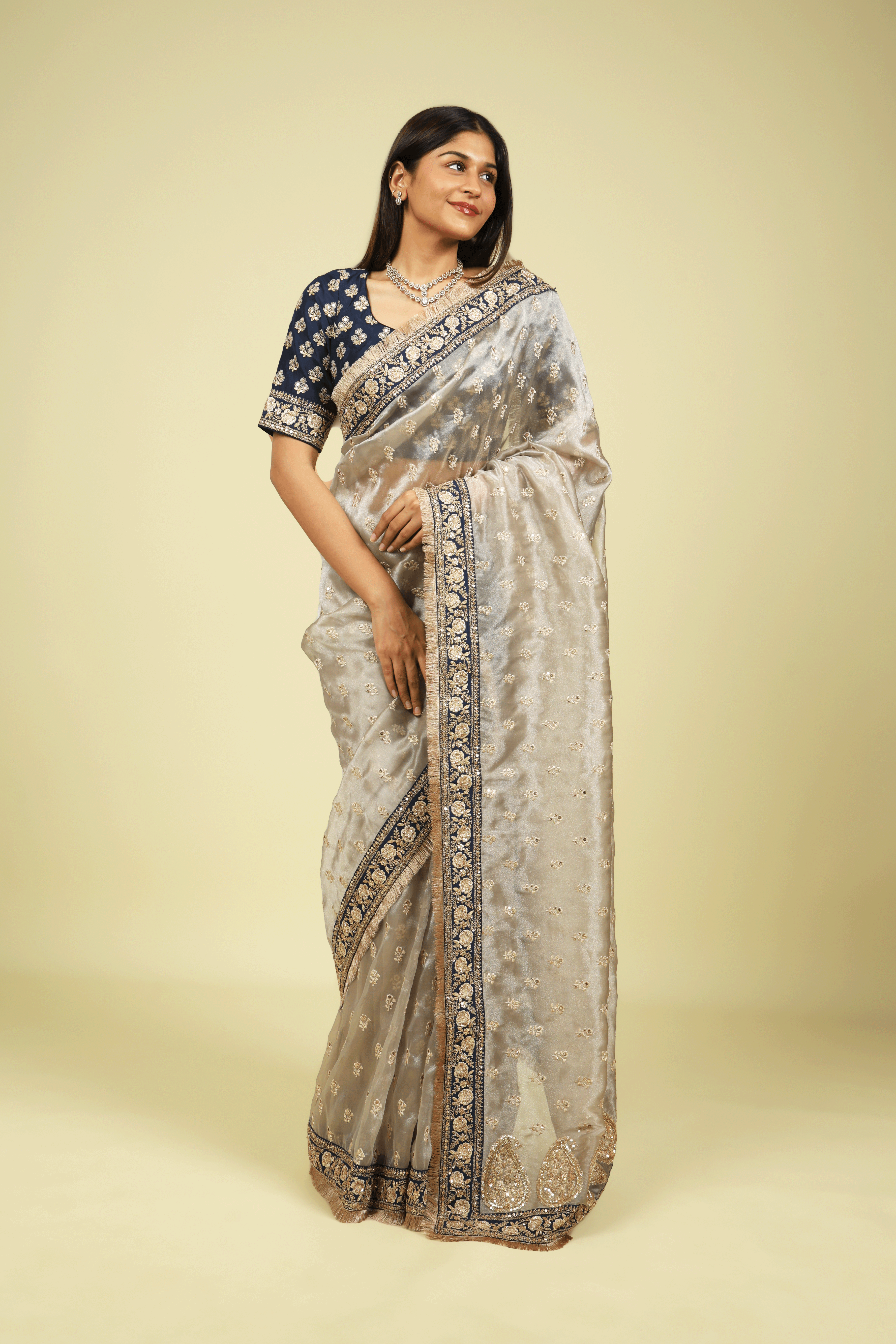 Silver Tissue Saree with Thread Motifs, Sequin Highlights & Contrast Embroidered Border - Mokshaa