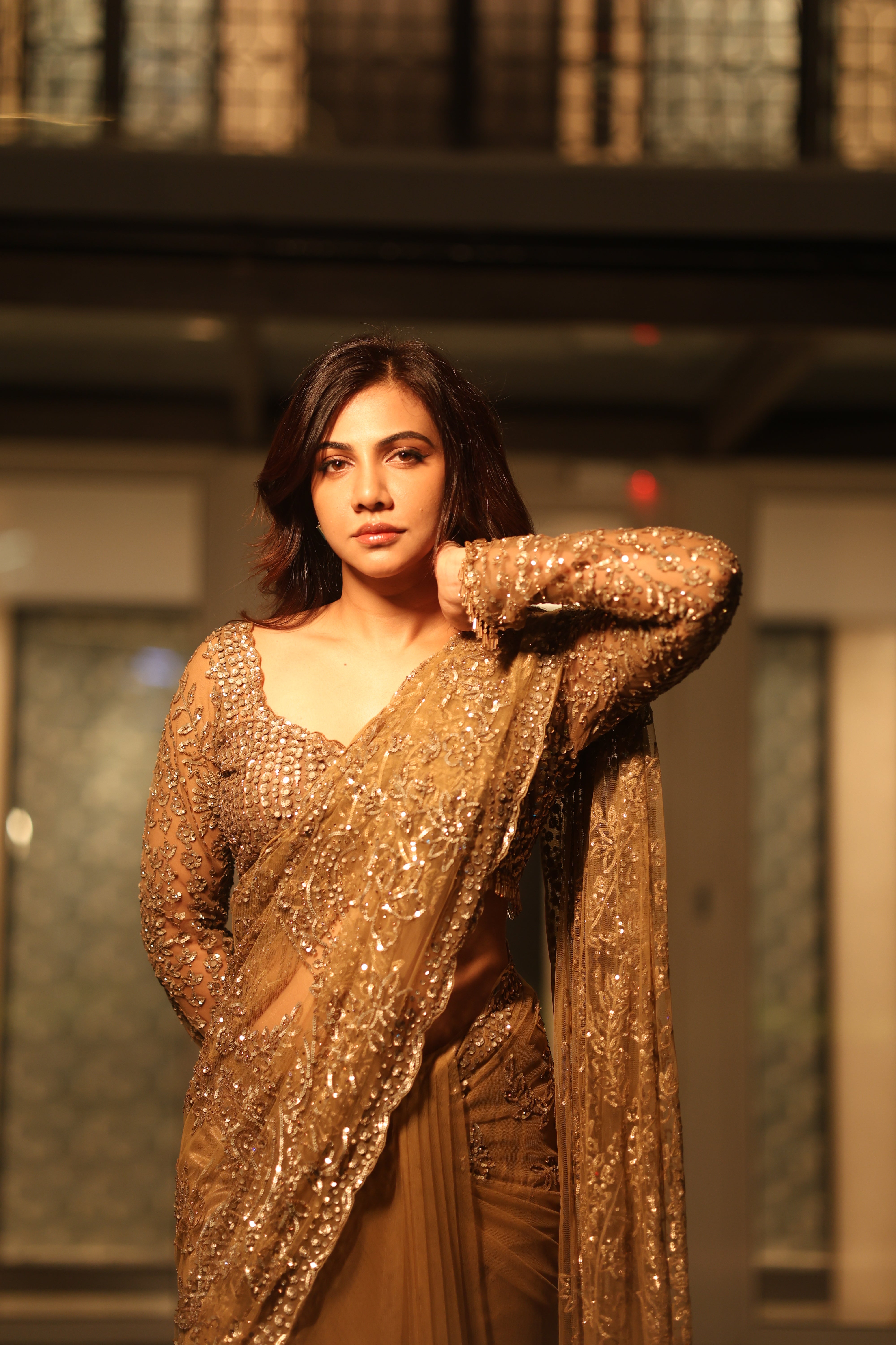 Champagne Gold Net Sequins Saree