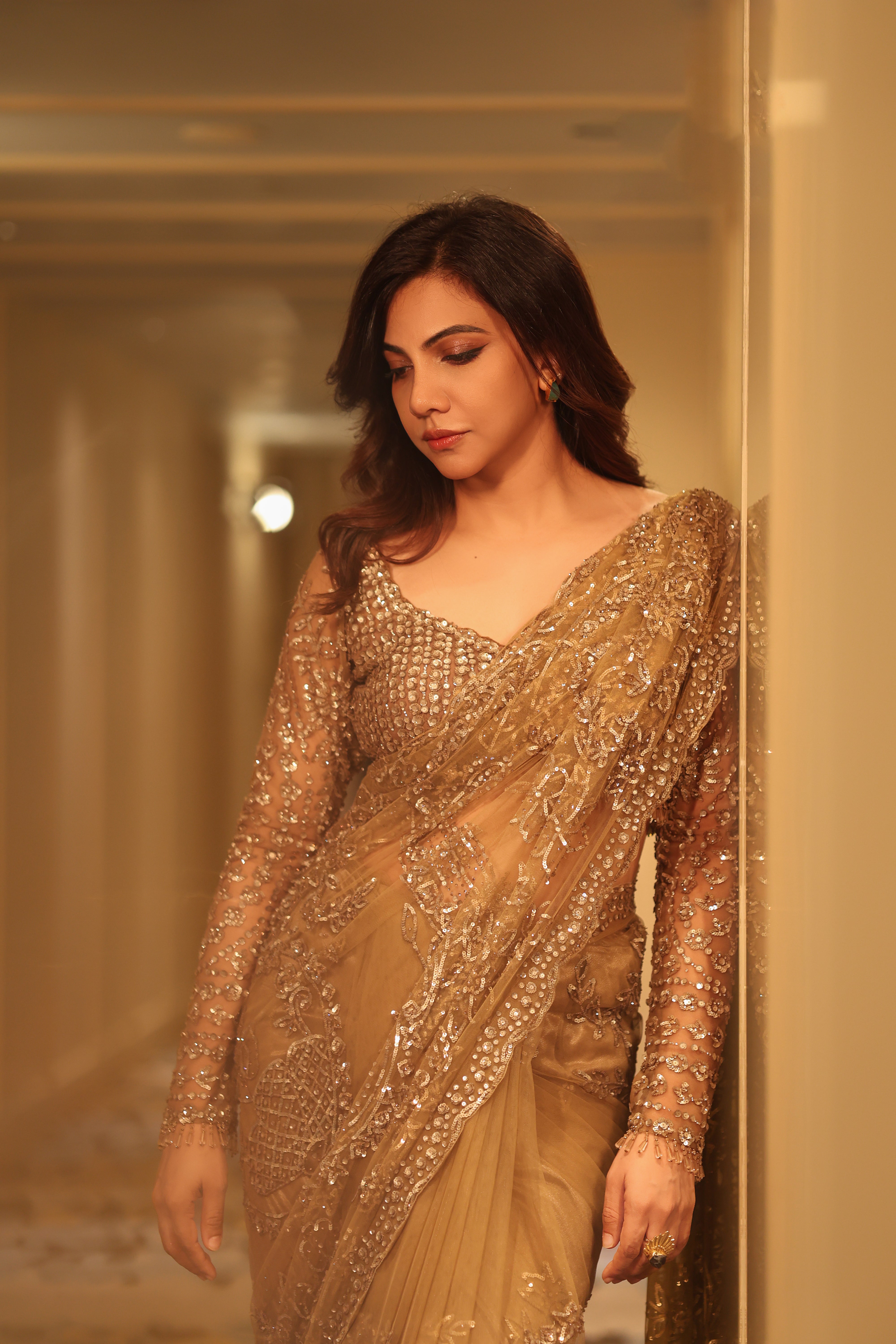 Champagne Gold Net Sequins Saree