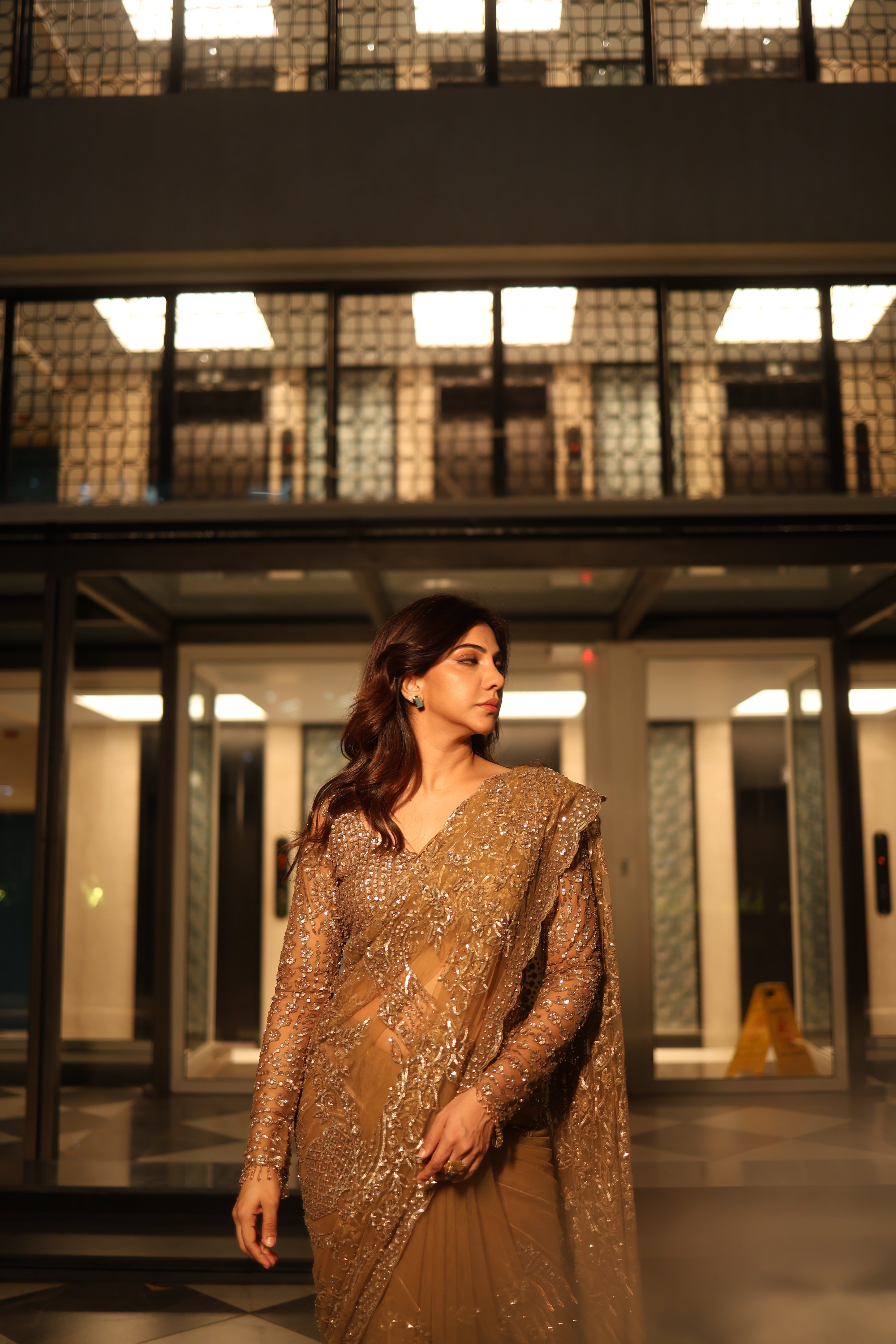Champagne Gold Net Sequins Saree