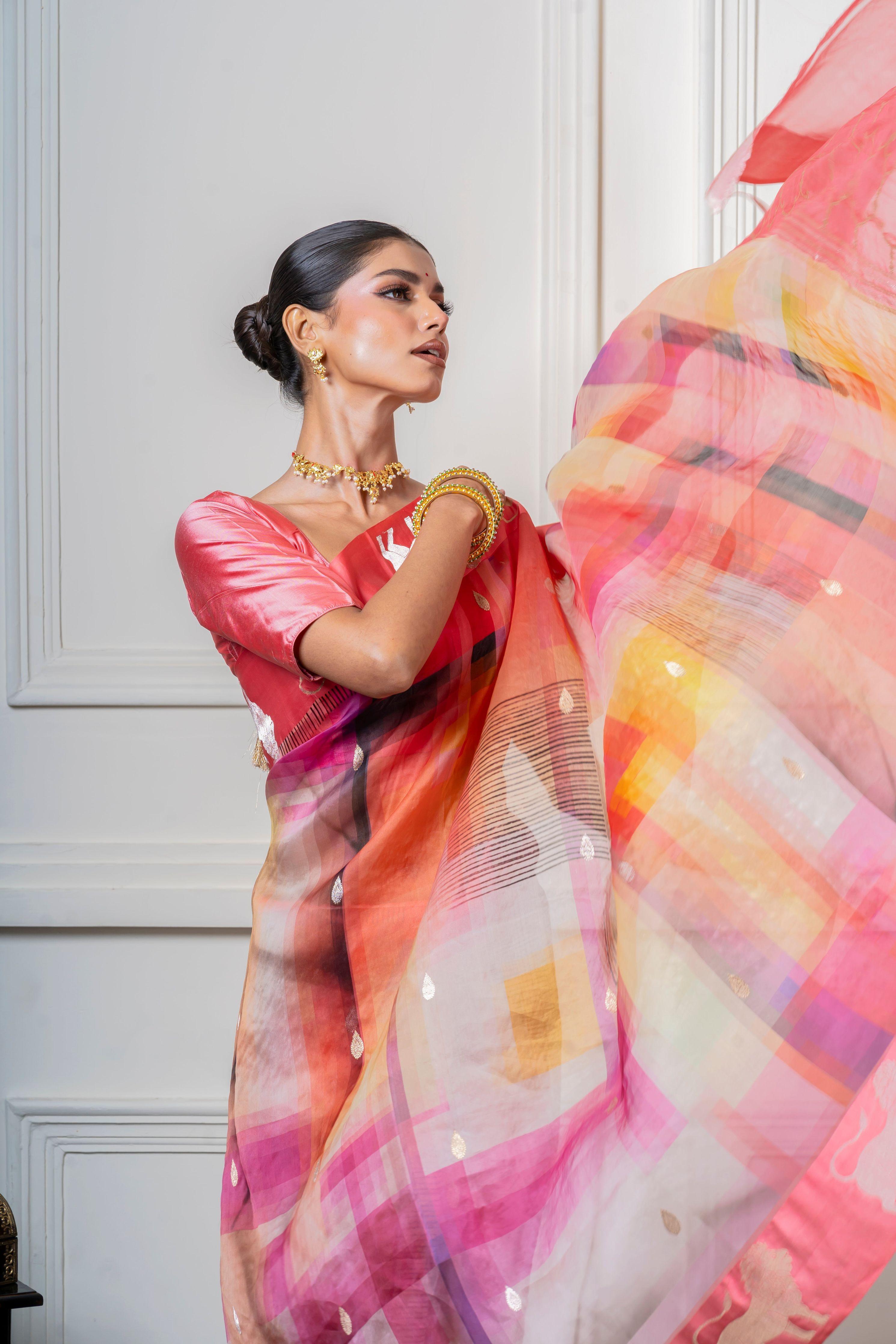 Multicolor Organza Saree with Geometric Print and Animal Motif - Mokshaa