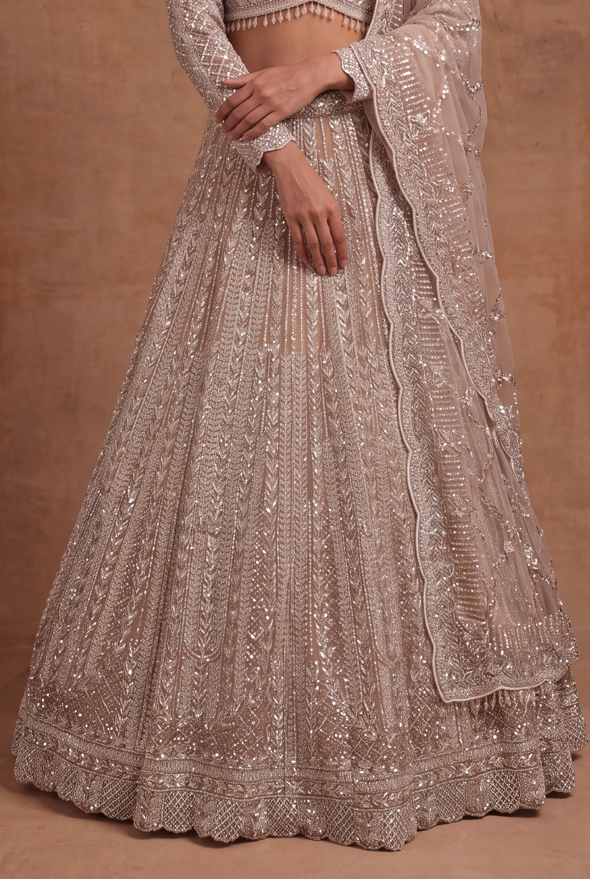 Champagne Net Lehenga - Mokshaa