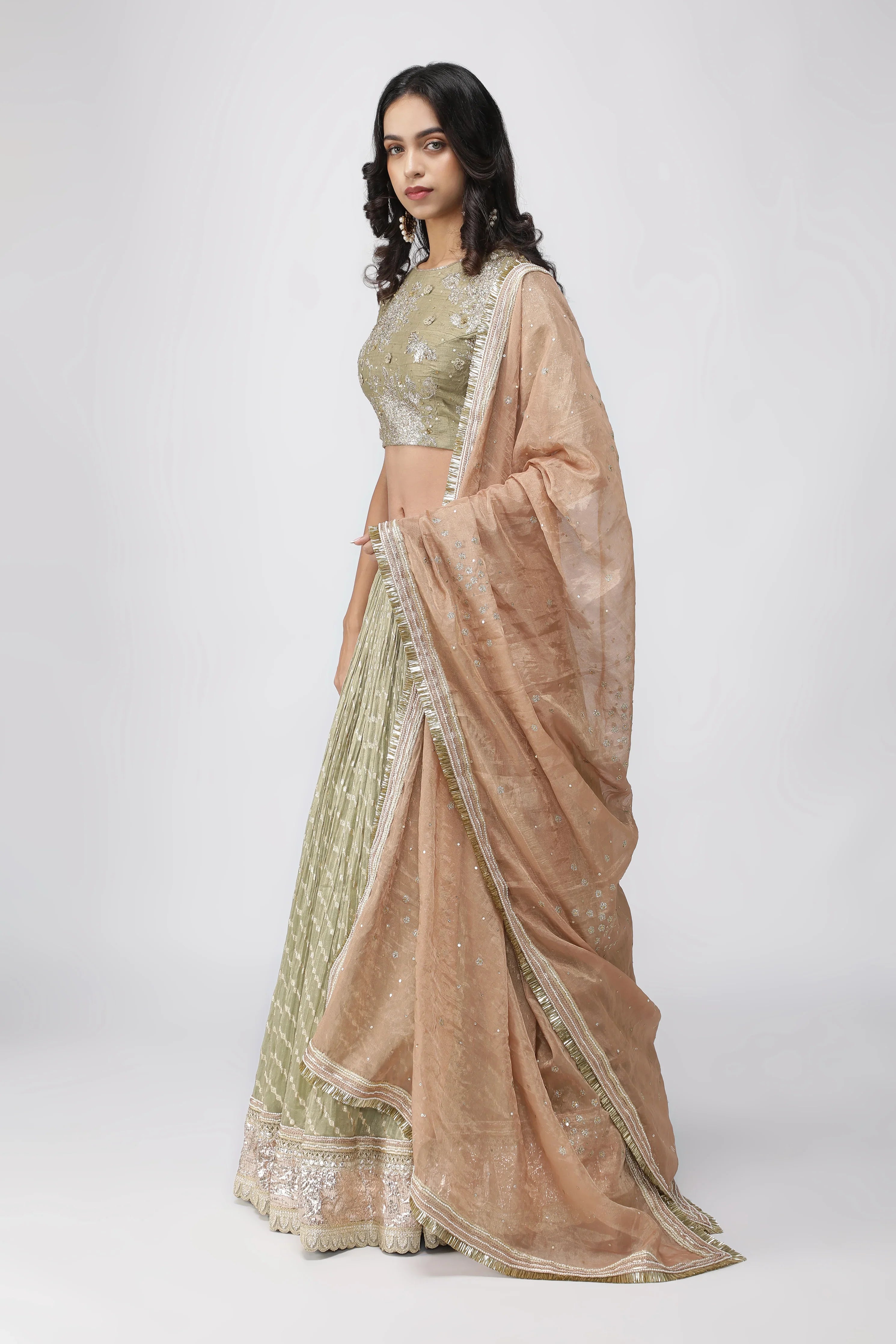 Green Chanderi Tissue Lehenga with Zari and Sequins Embroidery - Mokshaa