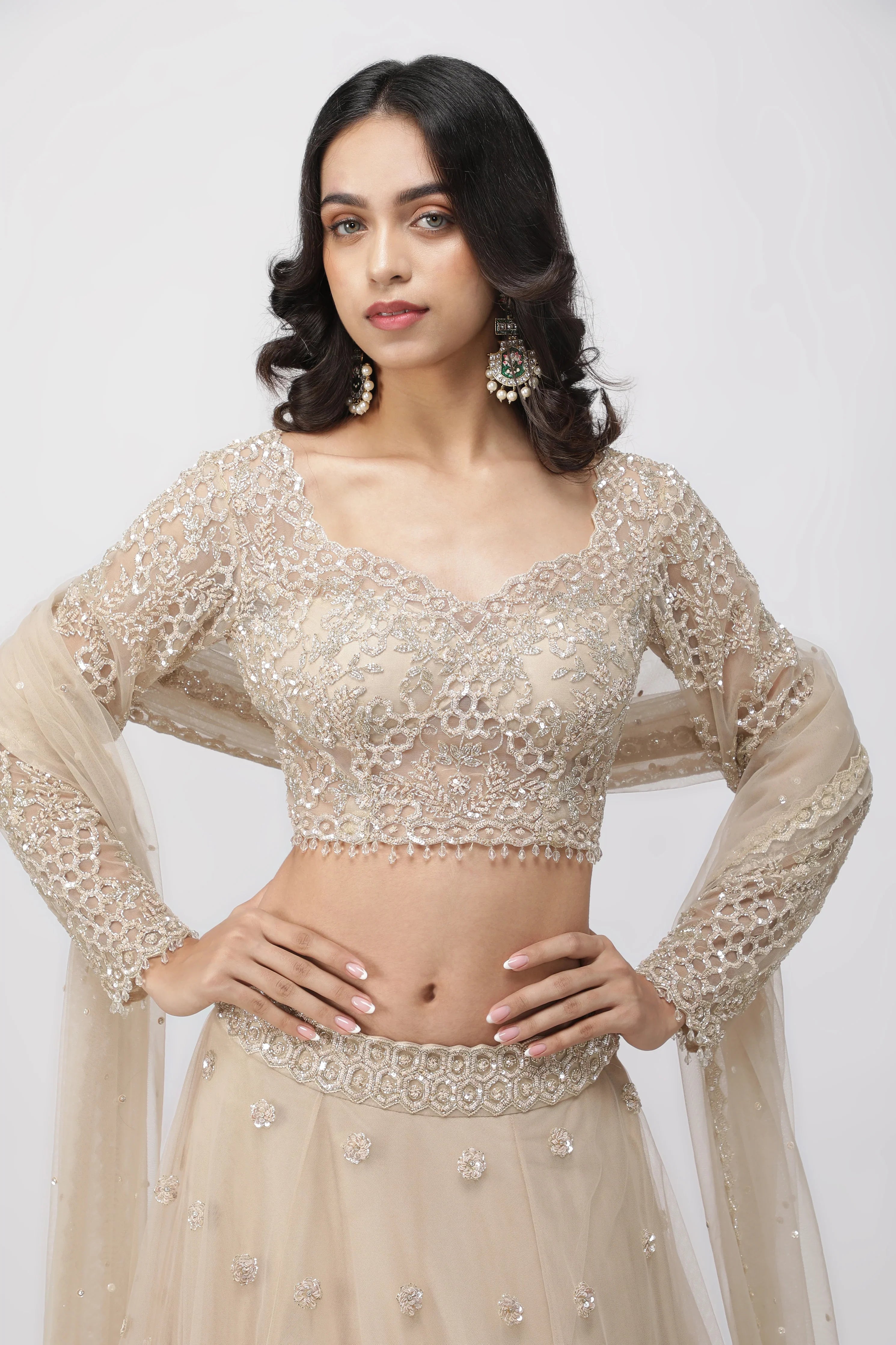Light Beige Net Lehenga Set with Sequin and Cutdana Embroidery - Mokshaa