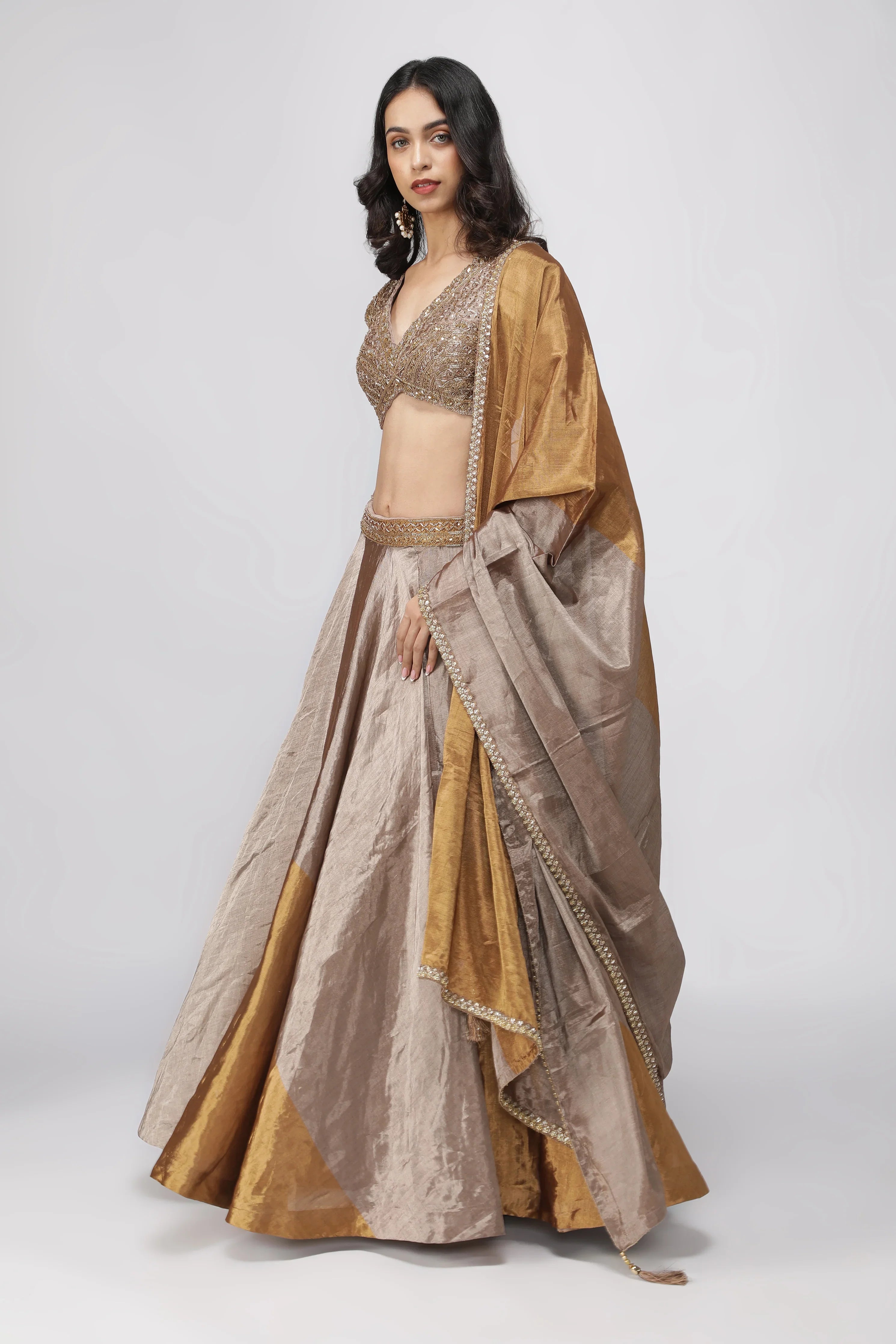 Gold & Silver Tissue Lehenga with Embroidered Blouse - Mokshaa