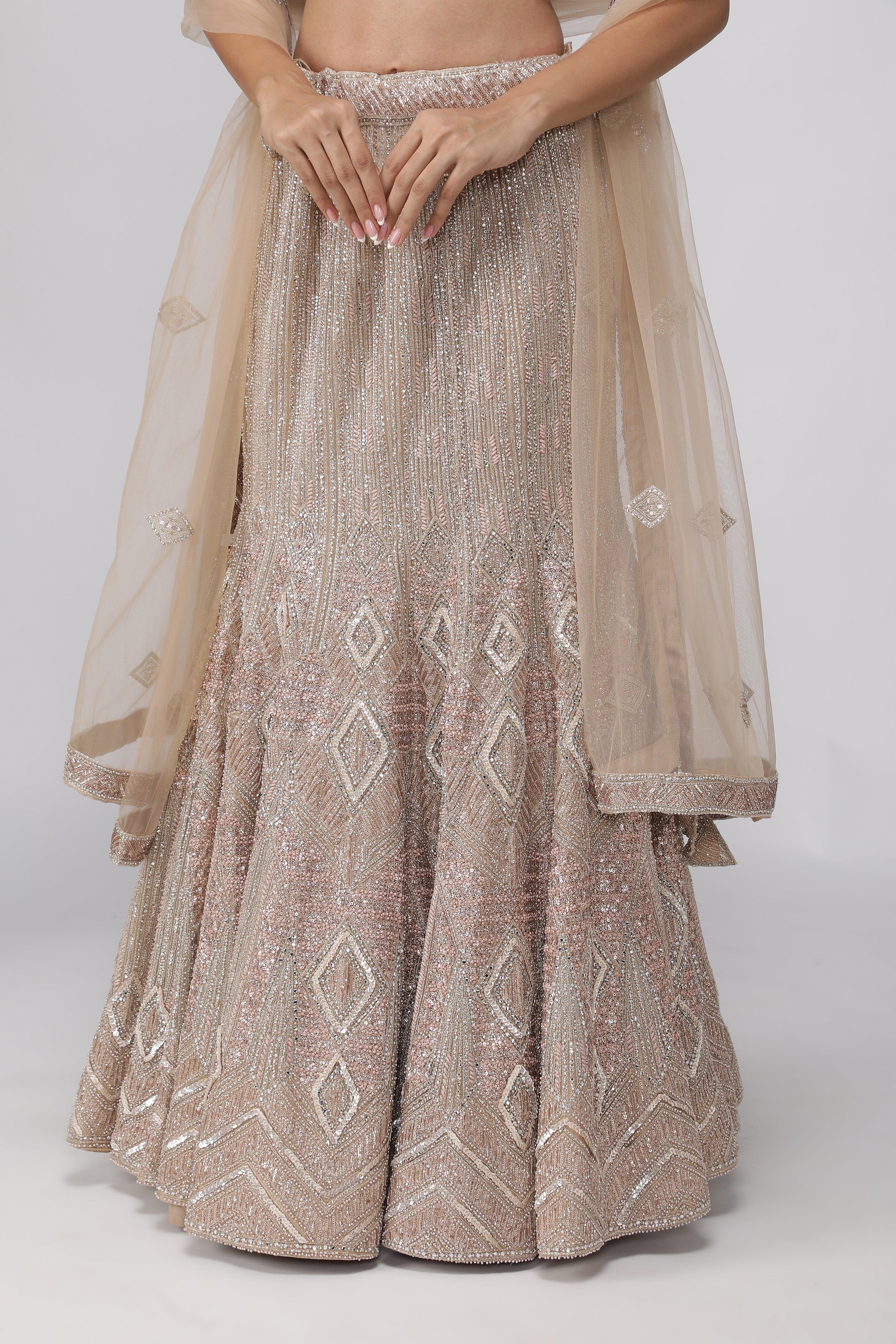 Champagne Net Mermaid Cut Lehenga set - Mokshaa