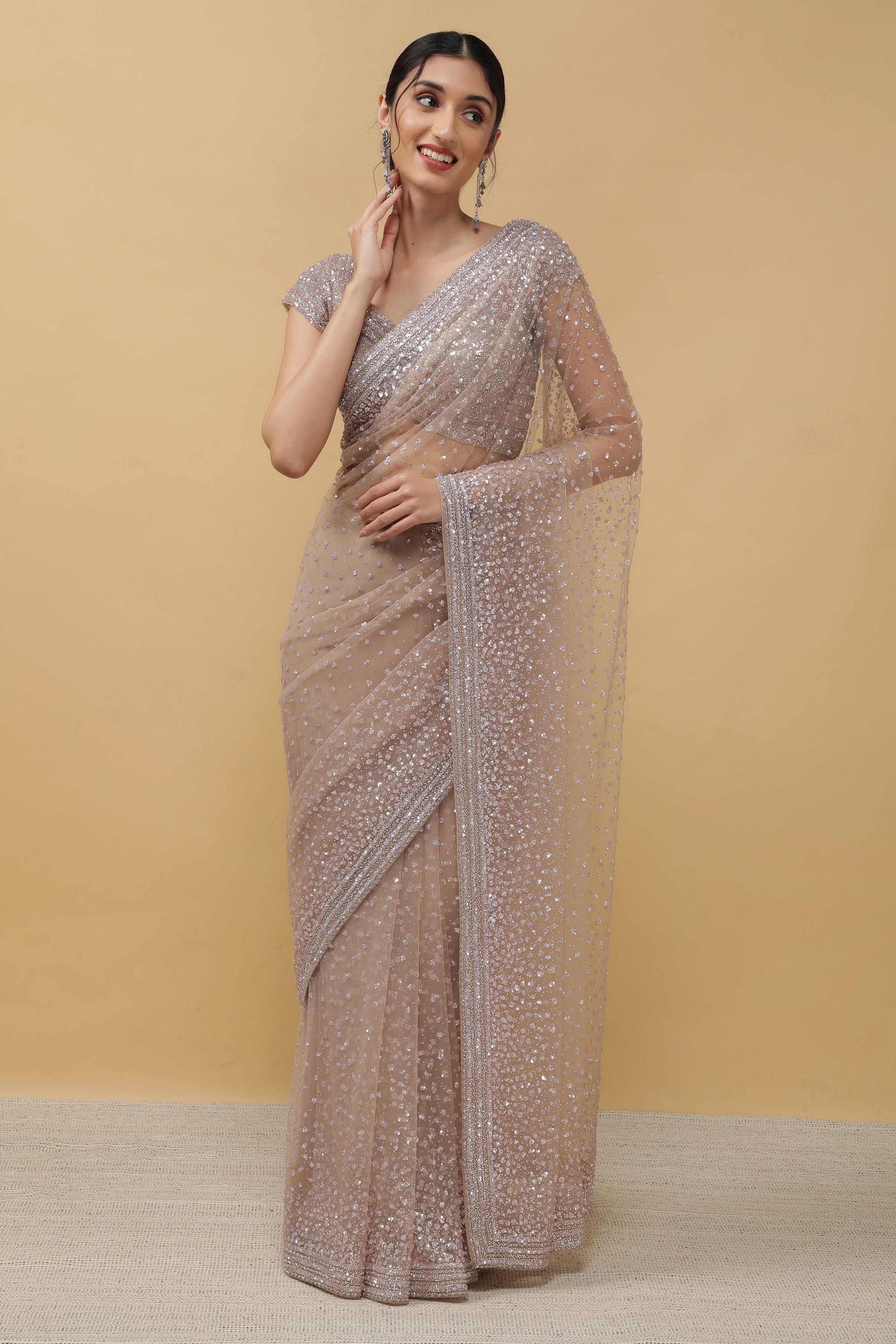 Chikoo Net Saree sequins work - Mokshaa