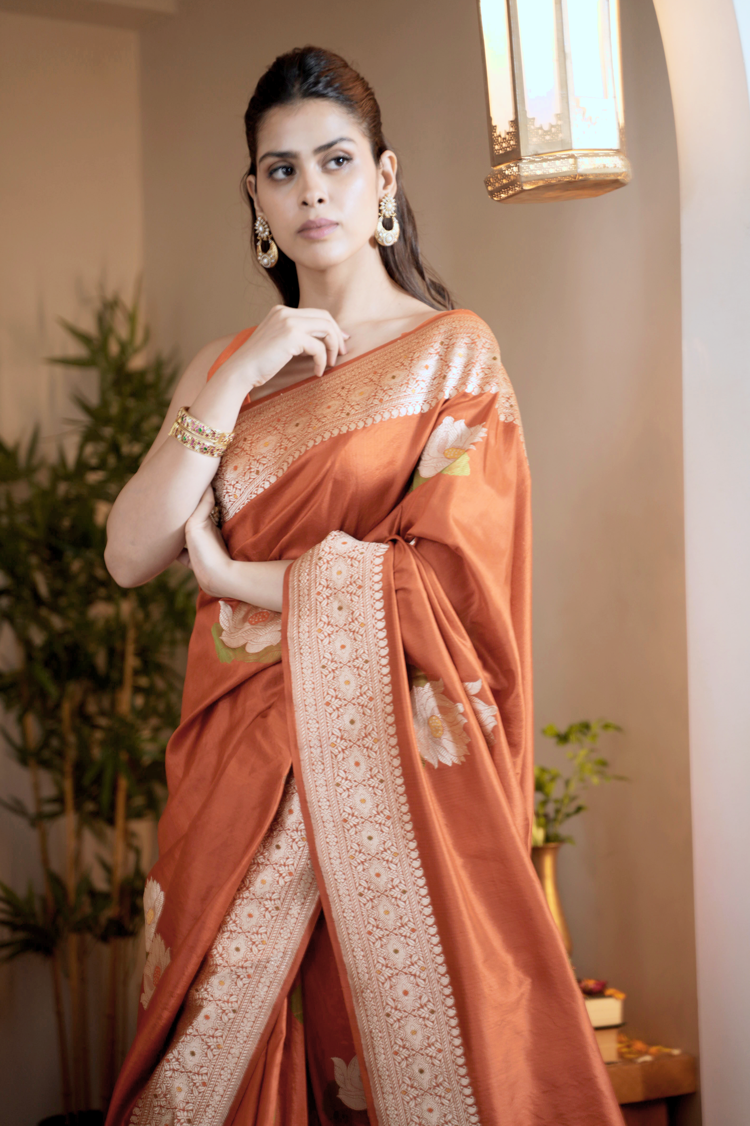 Rust Banarasi Silk Saree