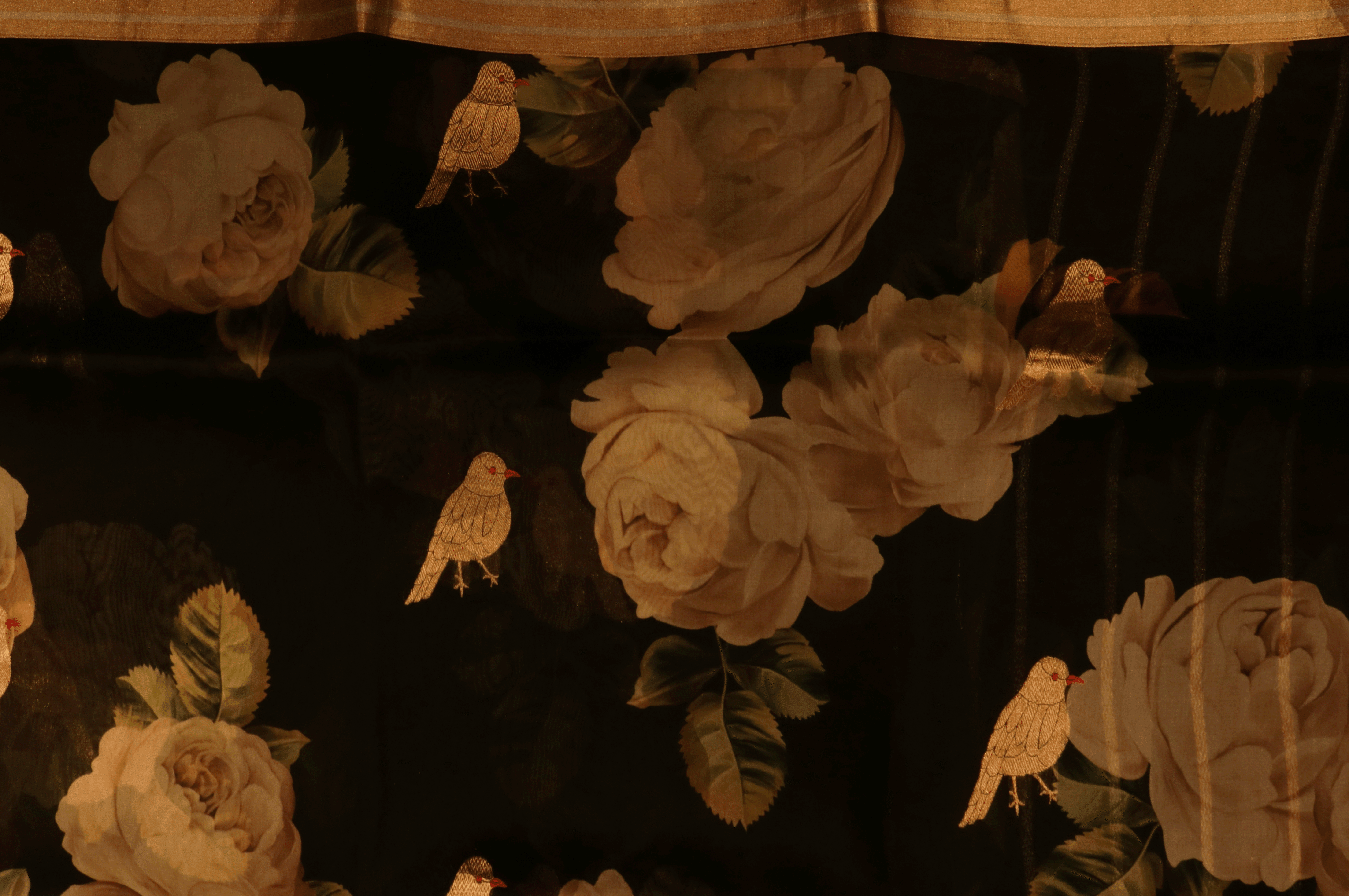 Black Printed Organza Saree - Mokshaa