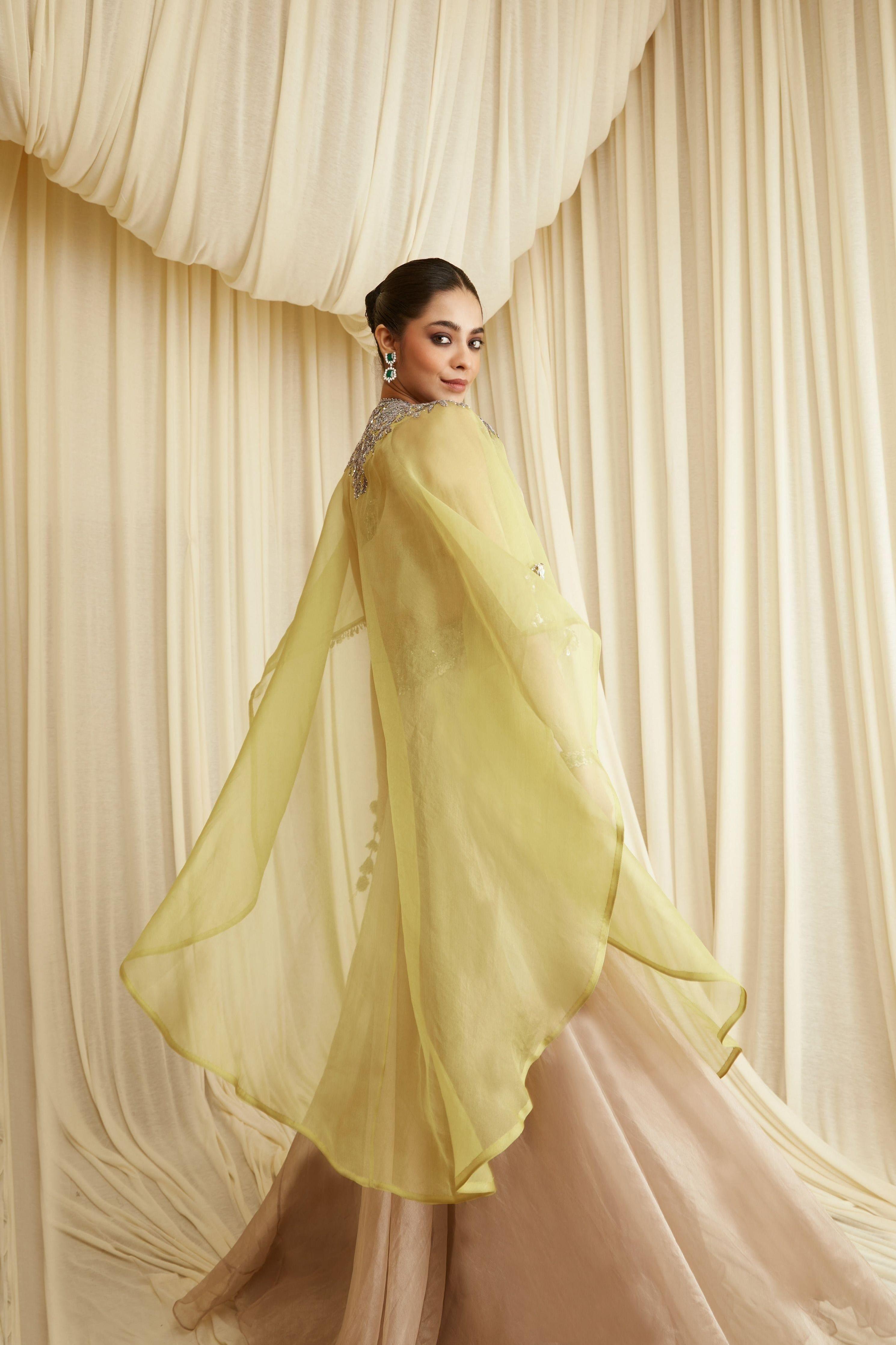 Antique Grey Tissue Skirt Set - Mokshaa