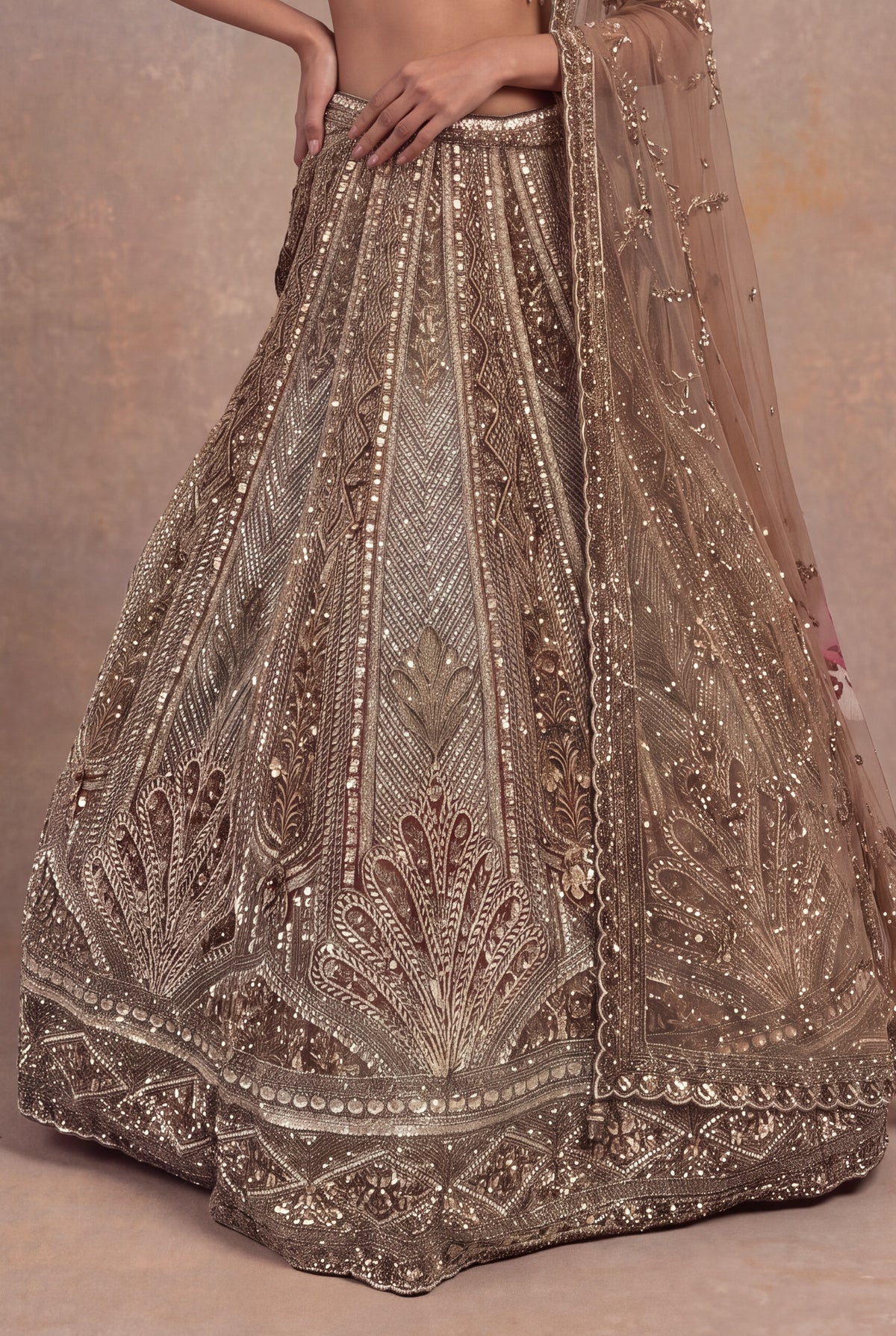 Honey Net Embellished Lehenga - Mokshaa