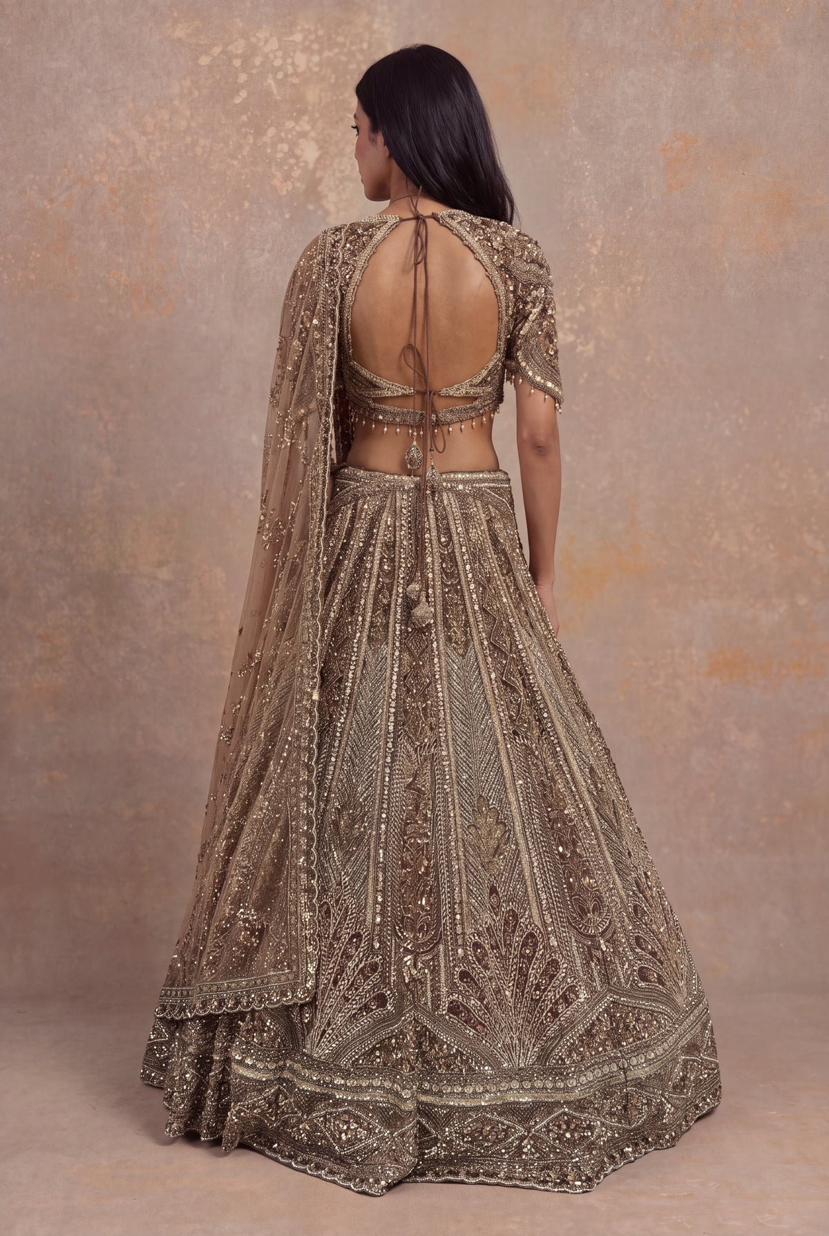 Honey Net Embellished Lehenga - Mokshaa