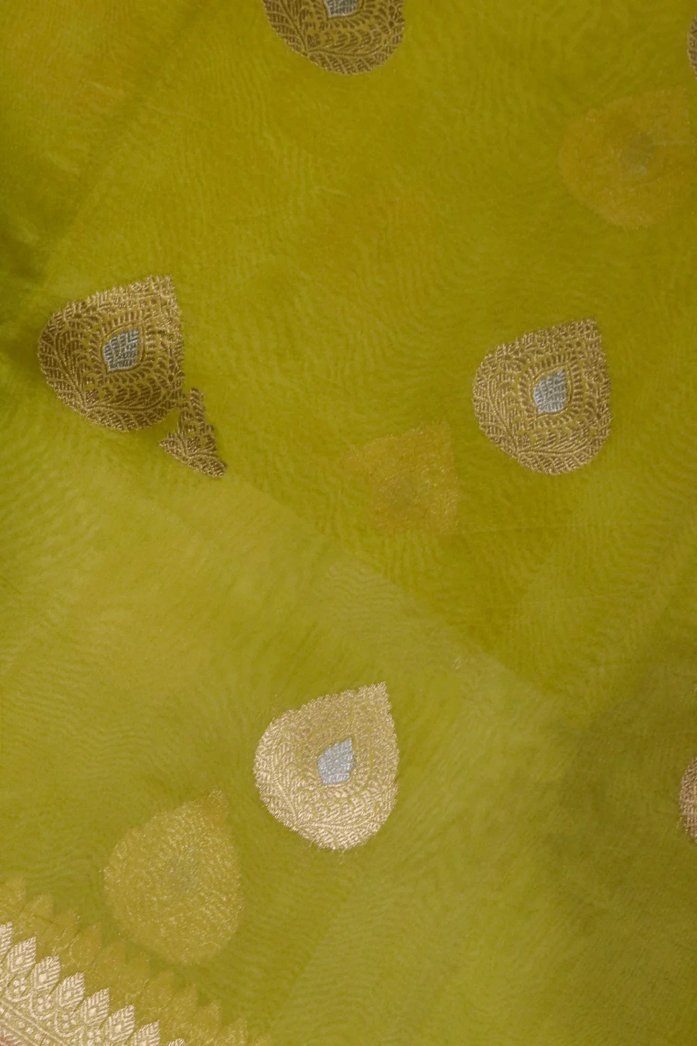 Greenish Yellow Banarasi Kora Saree with Gold-Silver Motifs & Contrast Blouse - Mokshaa